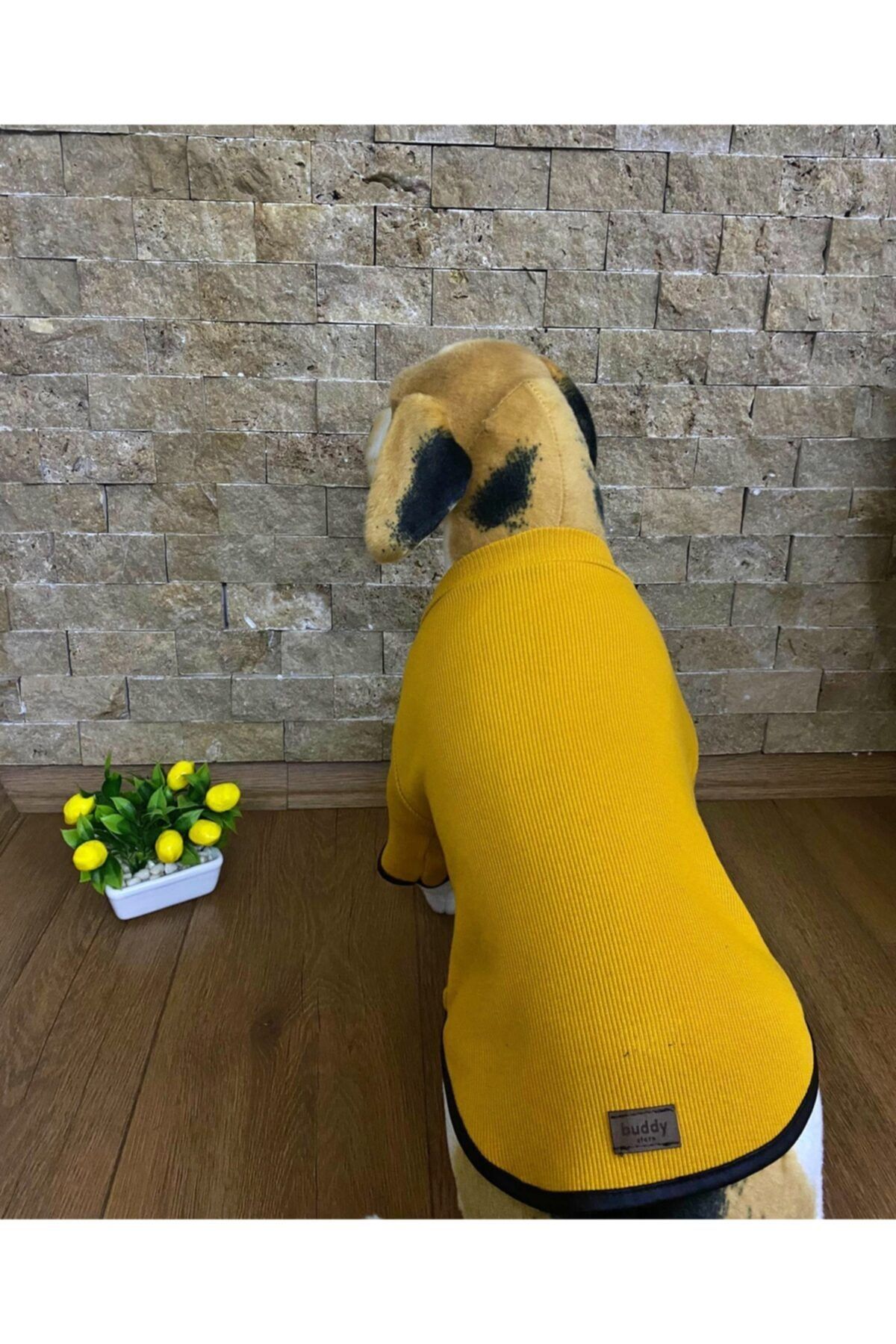 Buddy Store Kedi Köpek Kıyafeti & Elbisesi Uzun Kollu Model Sarı (kaşkorse)
