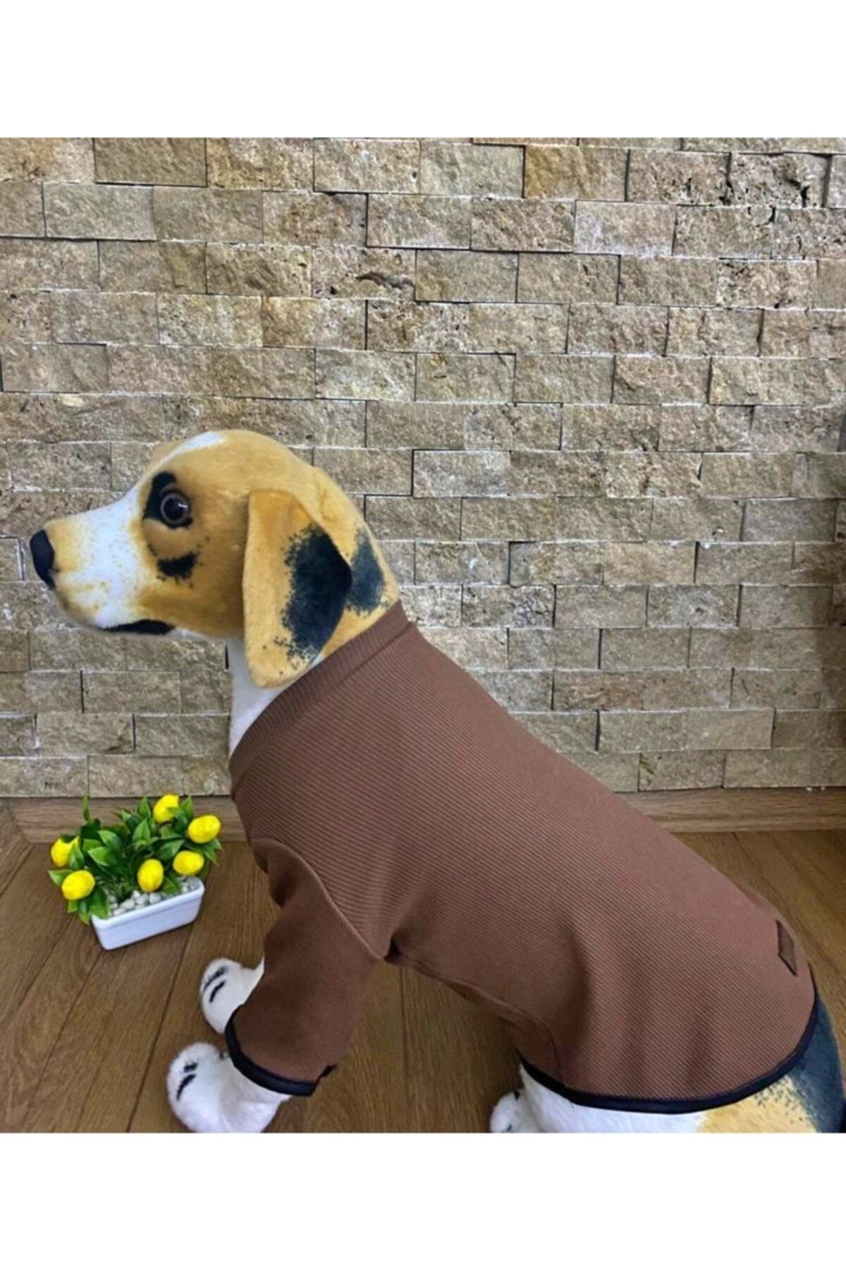 Buddy Store Kedi Köpek Kıyafeti & Elbisesi Uzun Kollu Model Kahve (KAŞKORSE)