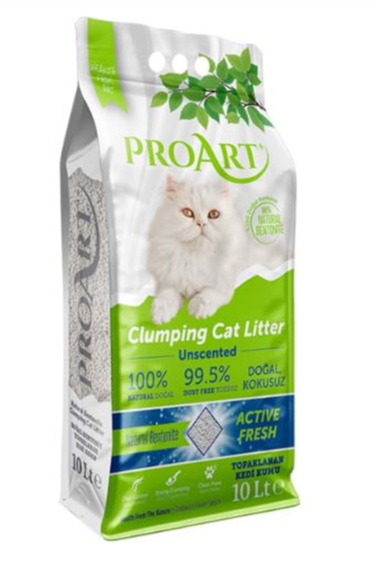 proart Kedi Kumu Doğal Kokusuz 10lt