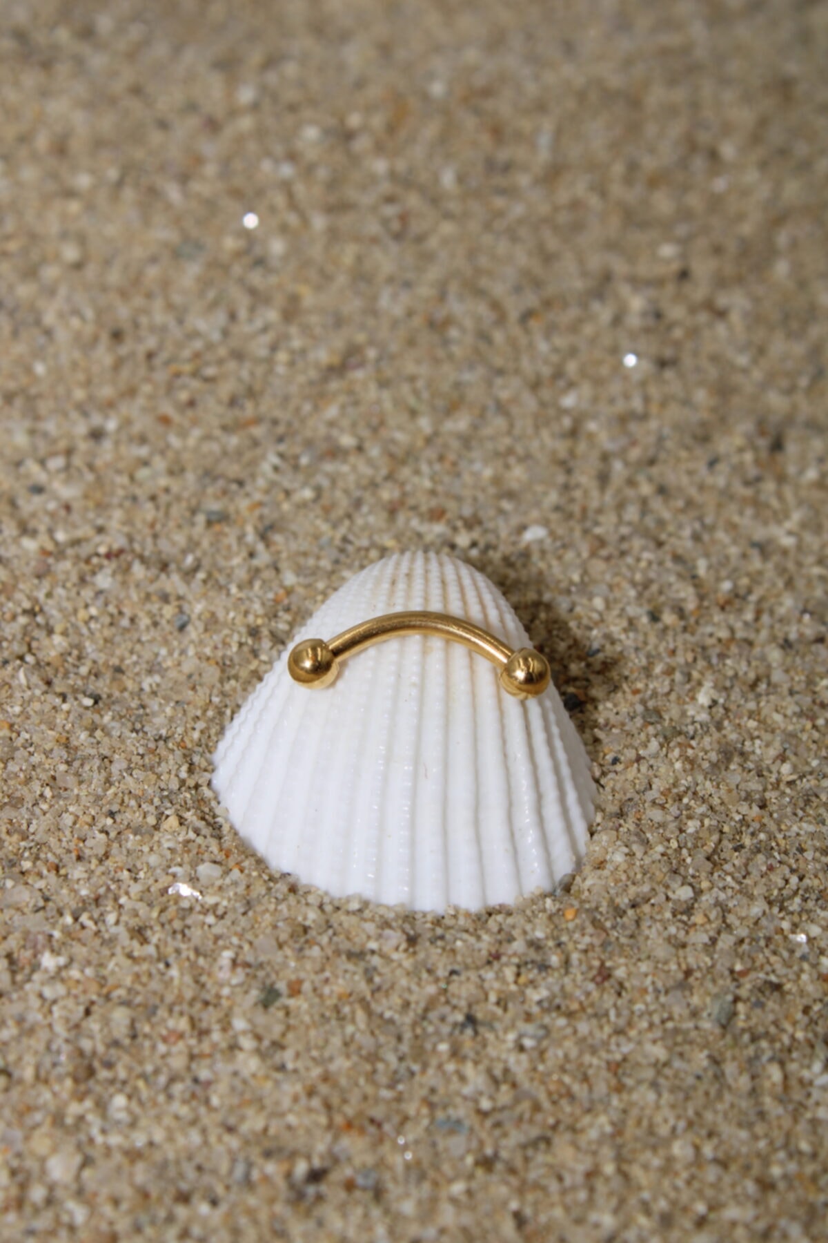NOBLE GETTO Kaş Ve Snug Piercing Cerrahi Çelik Gold Renk Top Çap 2,5 Mm