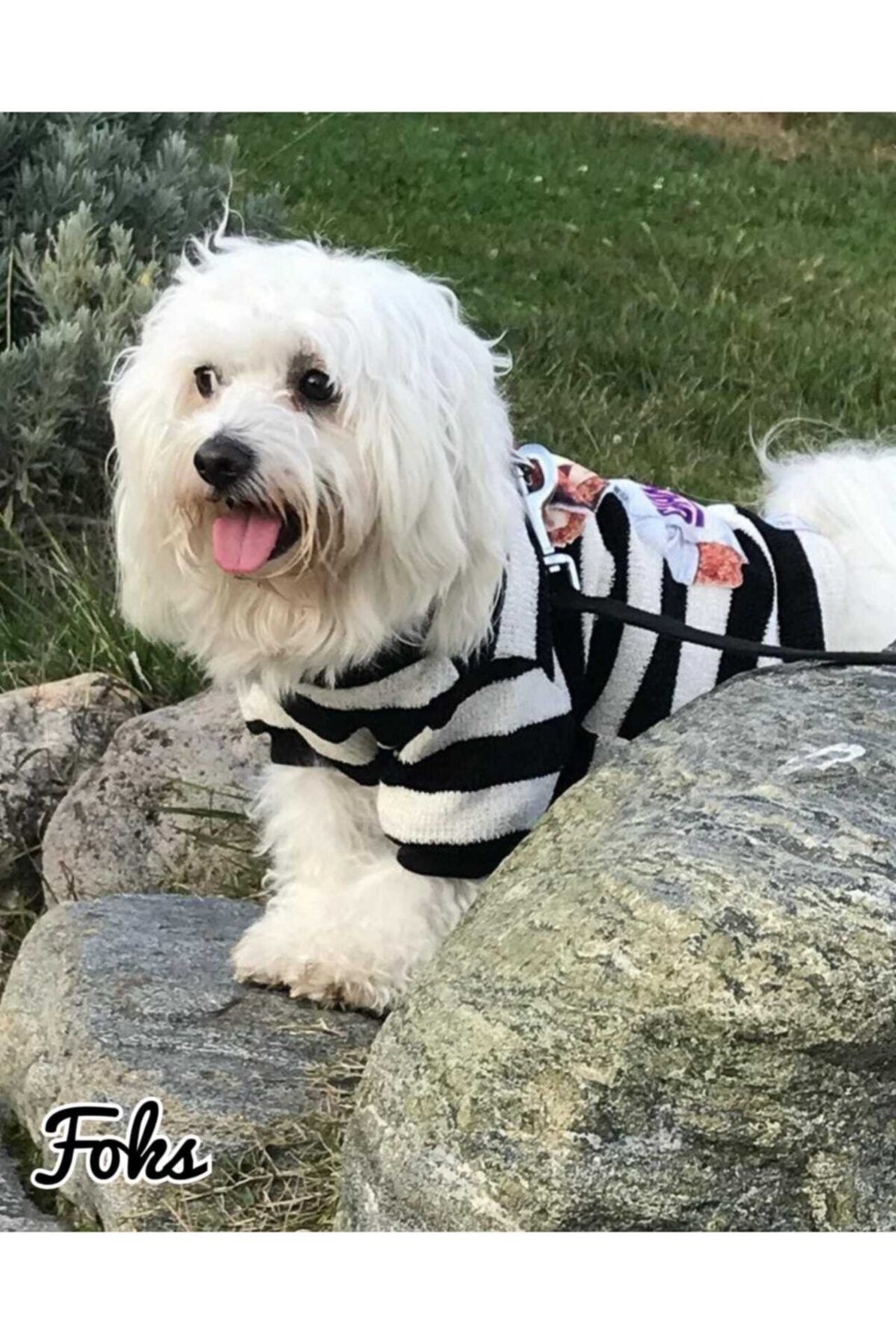MİNİŞ PET BUTİK Ayıcık Desenli Çizgili Balıkçı Triko Kazak