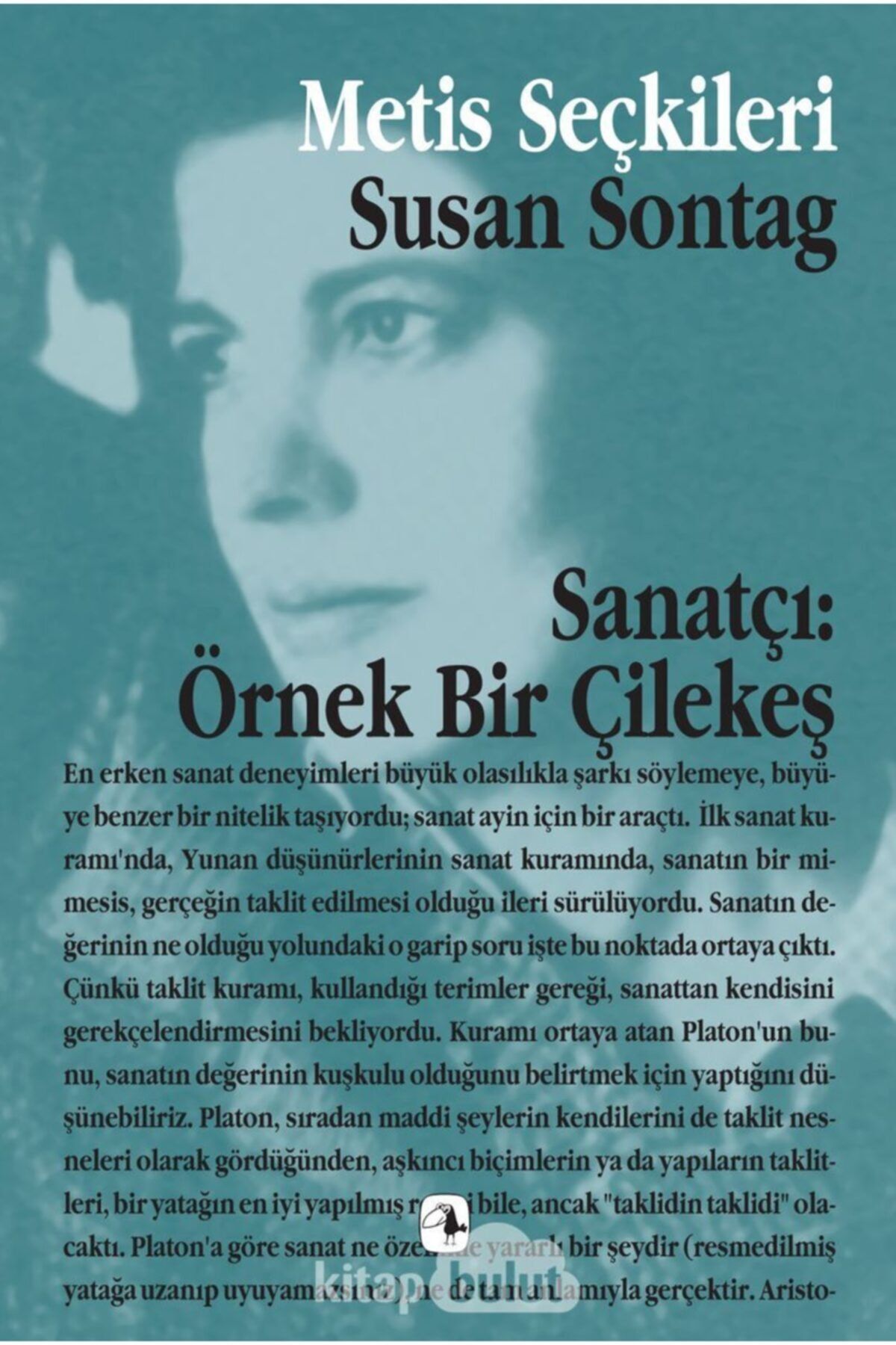 Metis Yayınları Sanatçı Örnek Bir Çilekeş