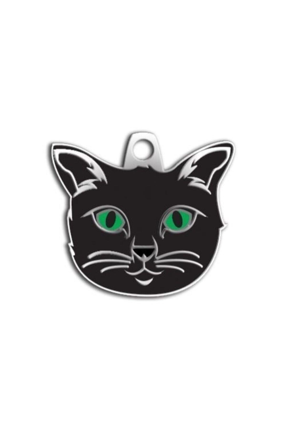 altın pati Siyah Renk Kedi Künyesi