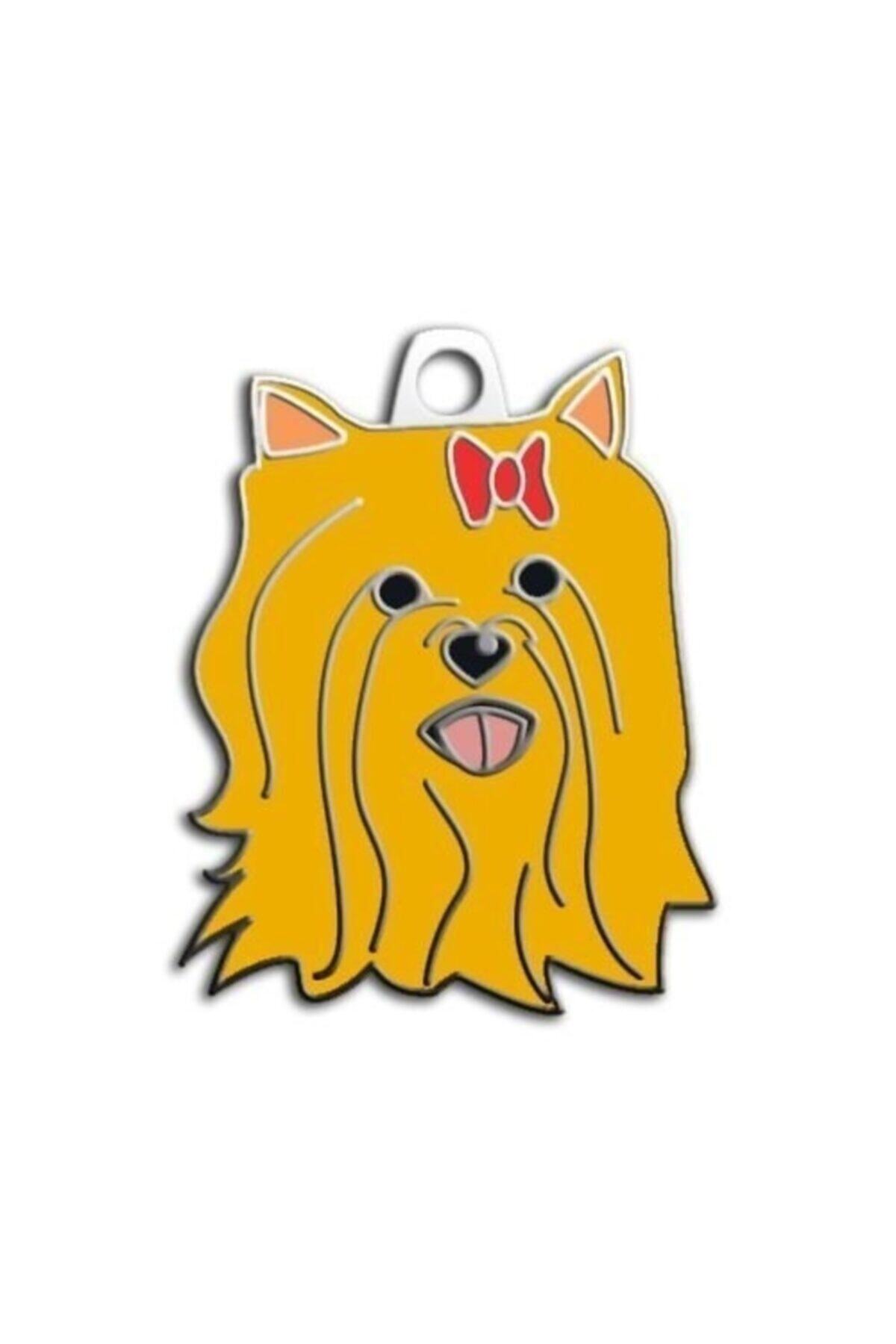 altın pati York Shire Terrier Köpek Künyesi (kizil)