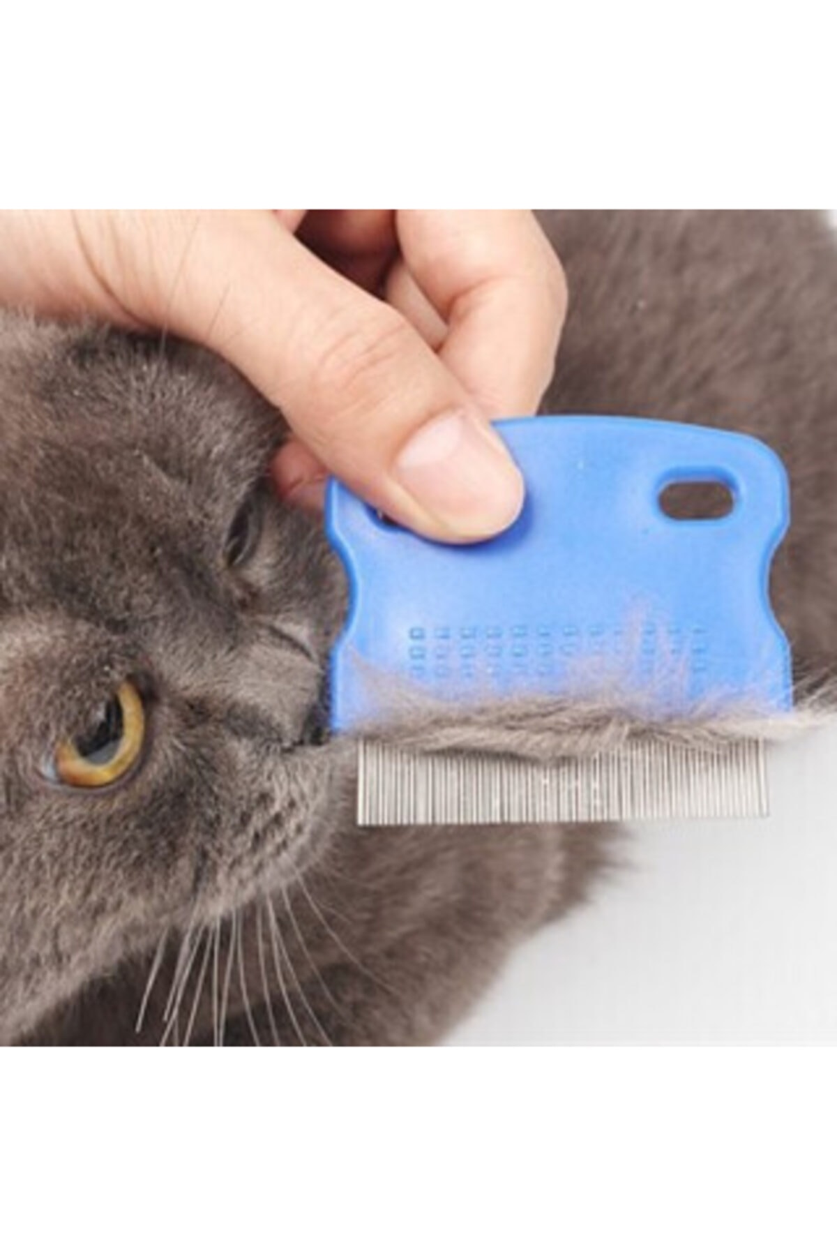 TEKRARAL Kedi Köpek Bit Ve Pire Tarağı