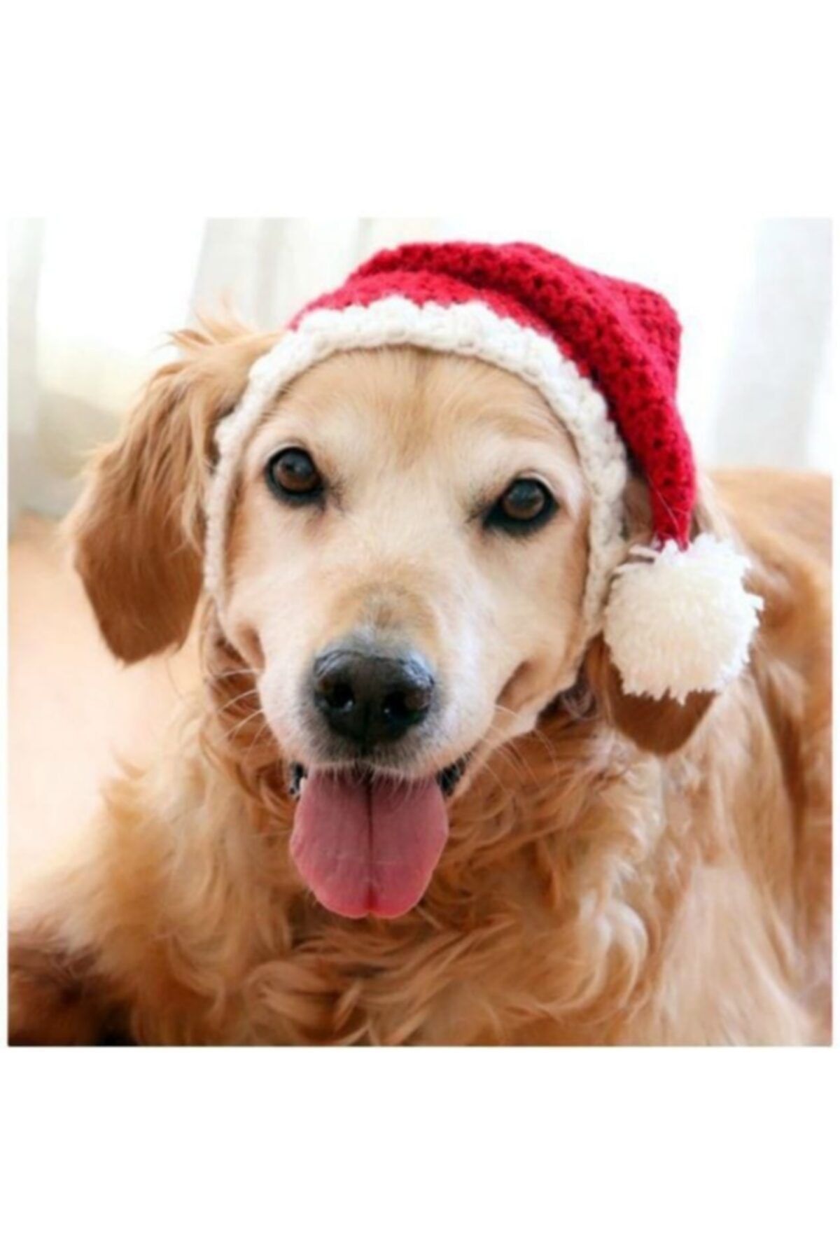 BurDen Dekoratif Ürünler & Tasarım Yılbaşı Özel ,beyaz Ponponlu Köpek Şapkası, Bere, Pet Fashion, Tasarım
