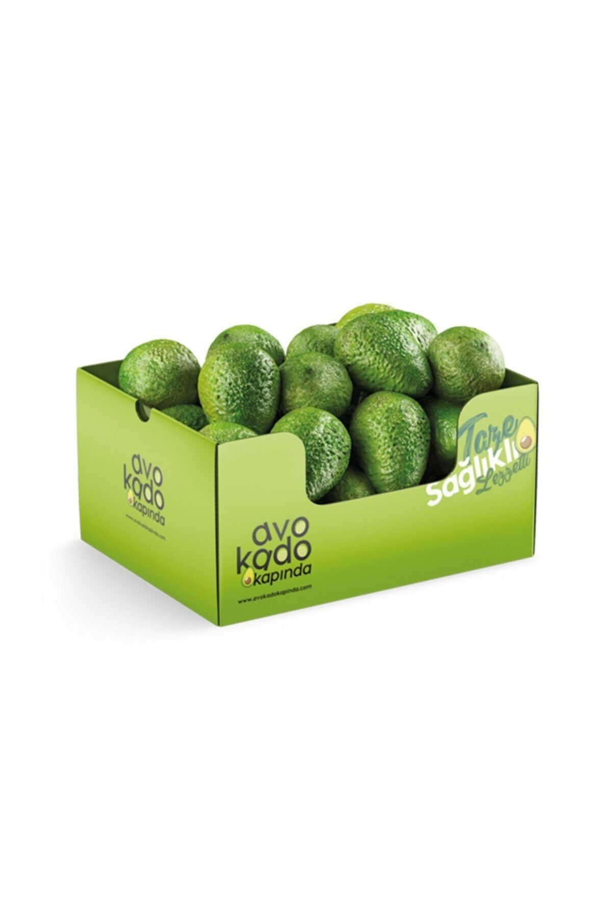 AVOKADO KAPINDA Avokado 10'lu 250-290 gr