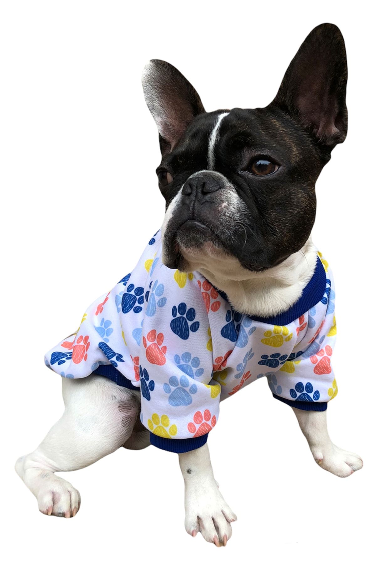 PETBUTİK8 0023pkpkh8 Kedi Köpek Kıyafeti