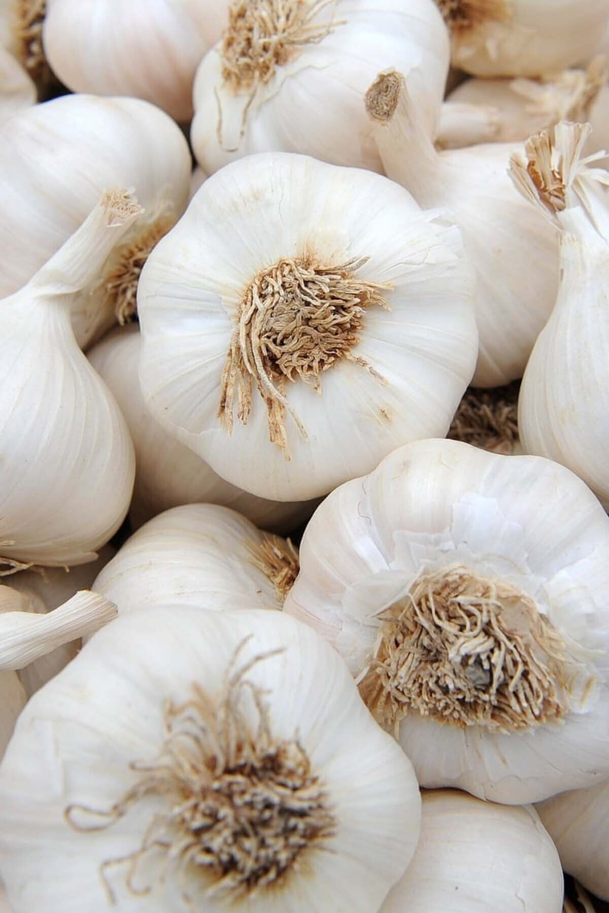 Kanji Kastamonu Taşköprü Sarımsağı -%100 Yerli Orta Boy 1 Kg