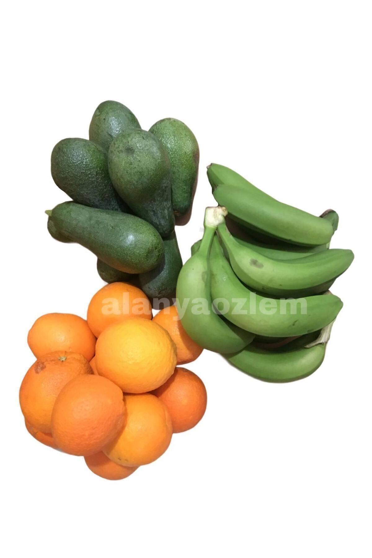 Alanya Özlem Avokado(1kg) ,portakal(2kg) ,muz(2kg) Taptaze Ürünler