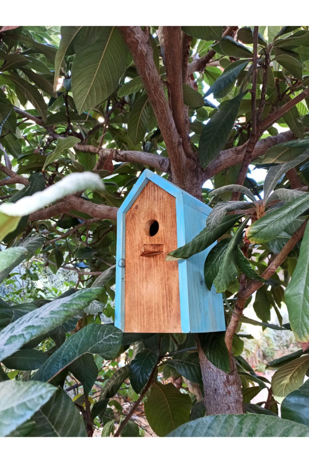 MimAhşap Minimal Ahşap Kuş Evi, Açılabilir Kapı, Bahçe/balkon Dekorasyonu (mavi)