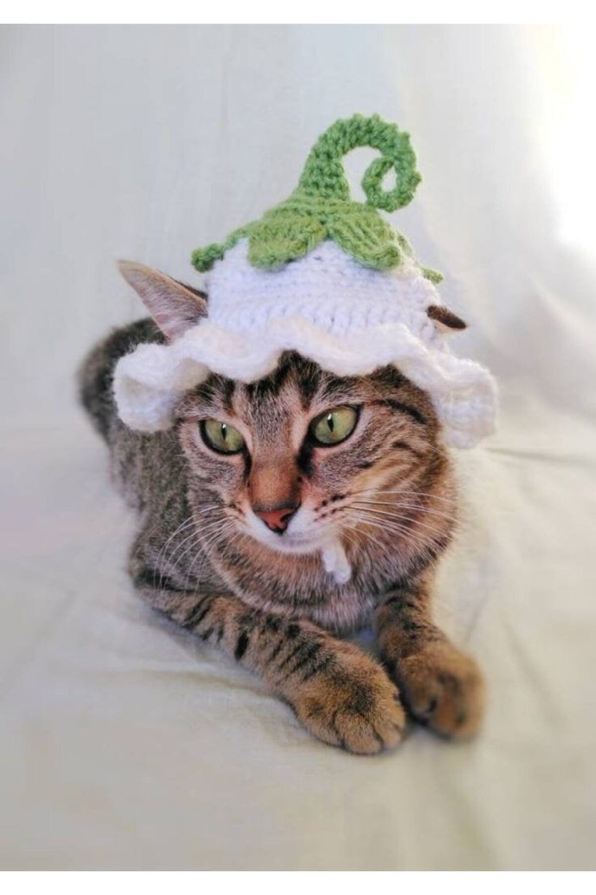 Kedi Aksesuar Kedi Şapkası Örgü Kedi Şapkası Çiçekli Ipli Şapka