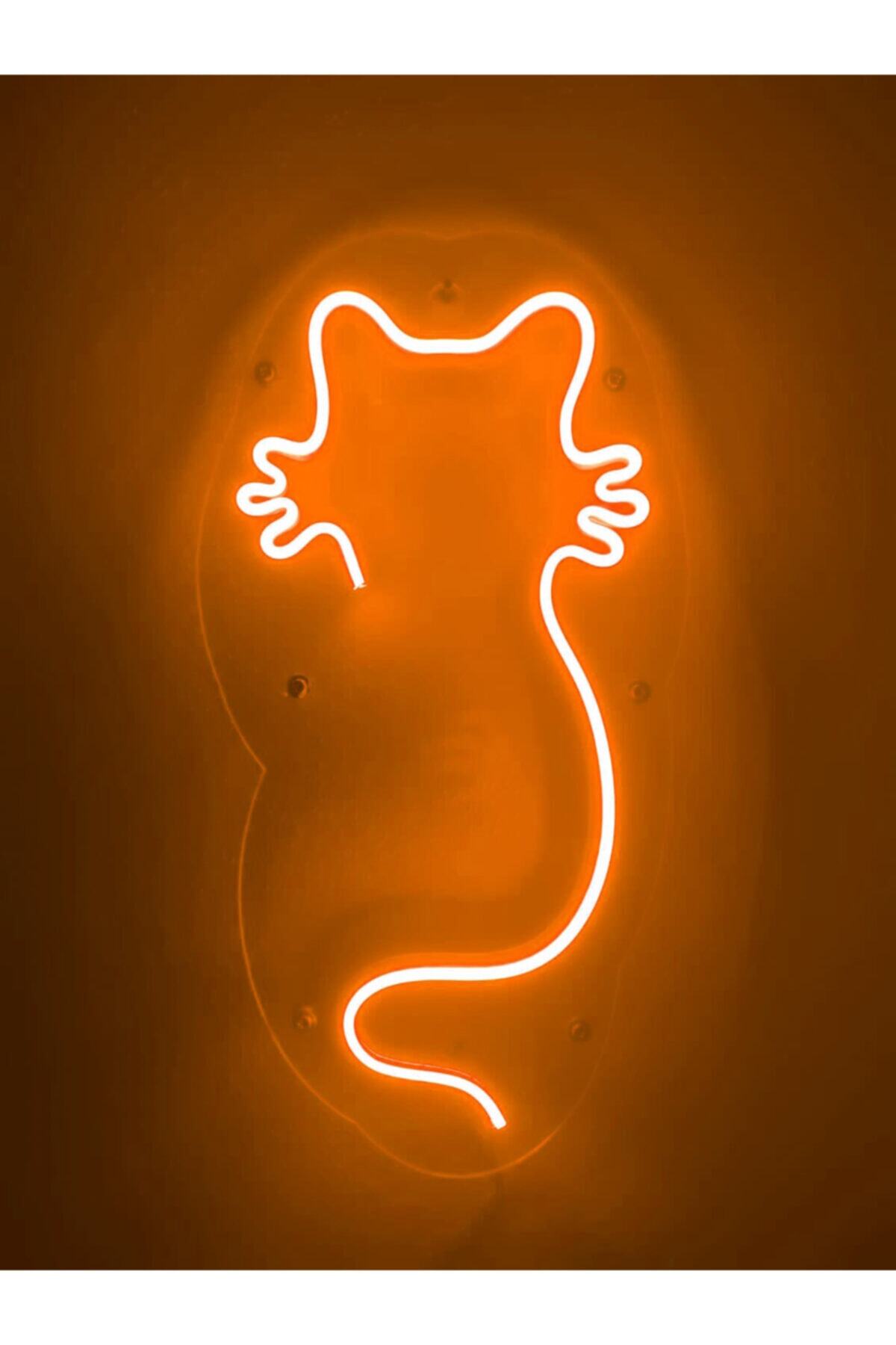 dekoraven Kedi Neon Led Duvar Yazısı Dekoratif Işıklı Gece Lambası Duvar Süsü
