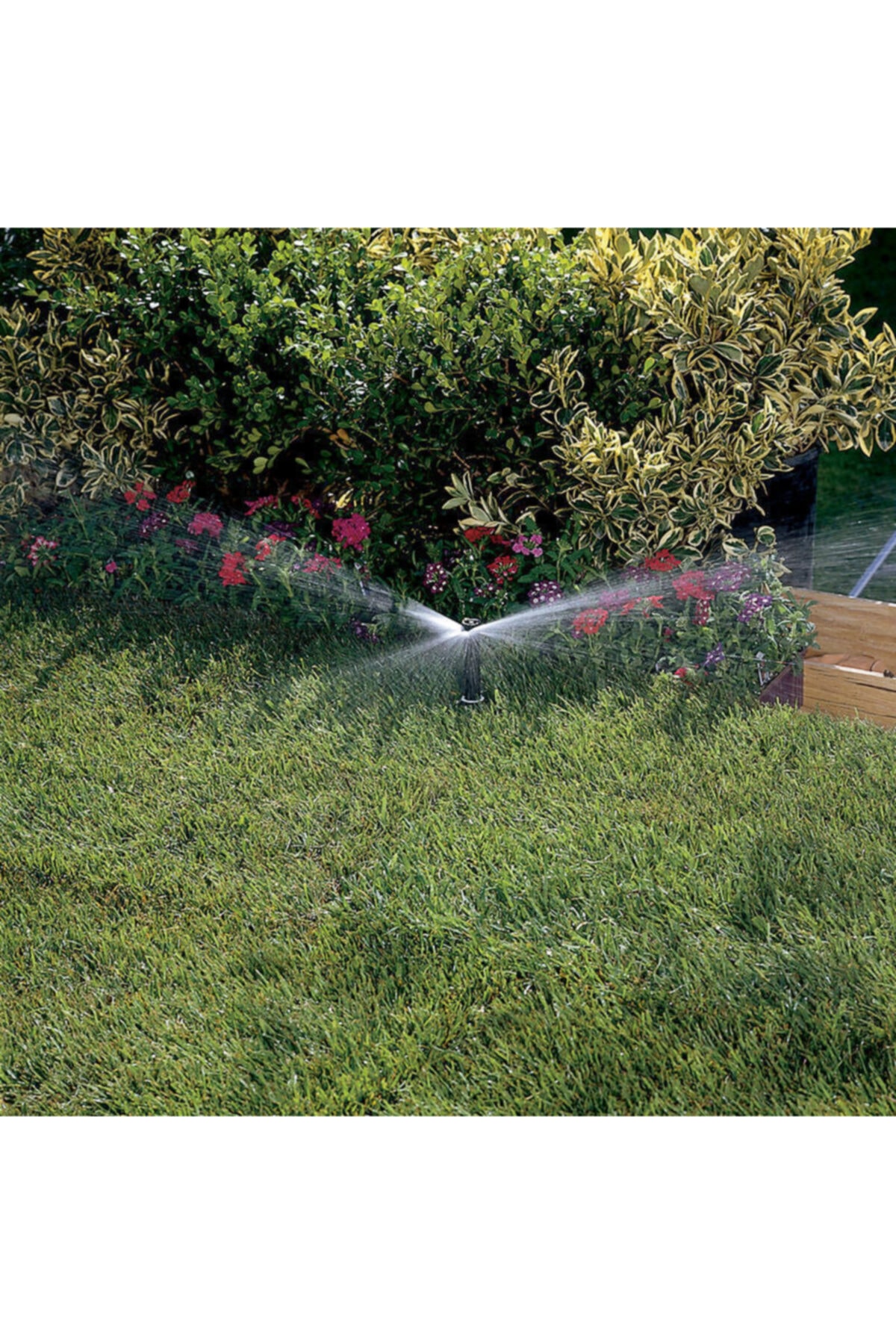 Hunter Ss 530 Şerit Pop Up Sprink