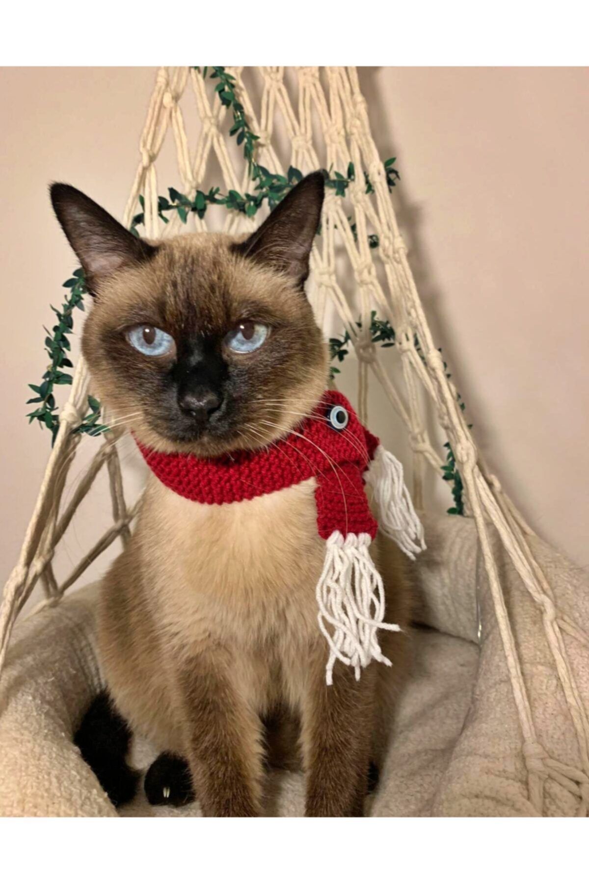 Buddy Store Kedi ve Köpek Fuları Bordo