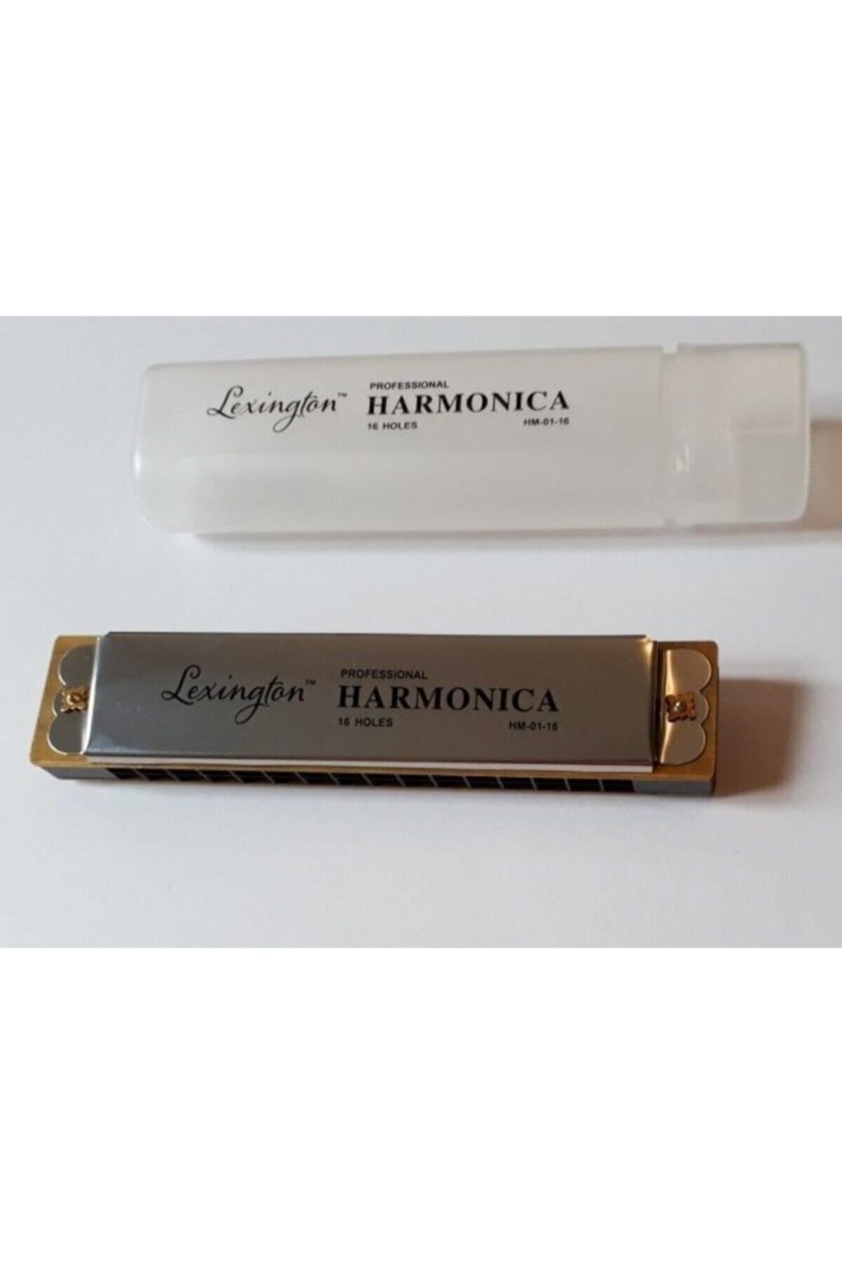 CREMONIA Hm0116 Mızıka 16 Delik Professıonal Harmonıca Şeffaf Kutulu