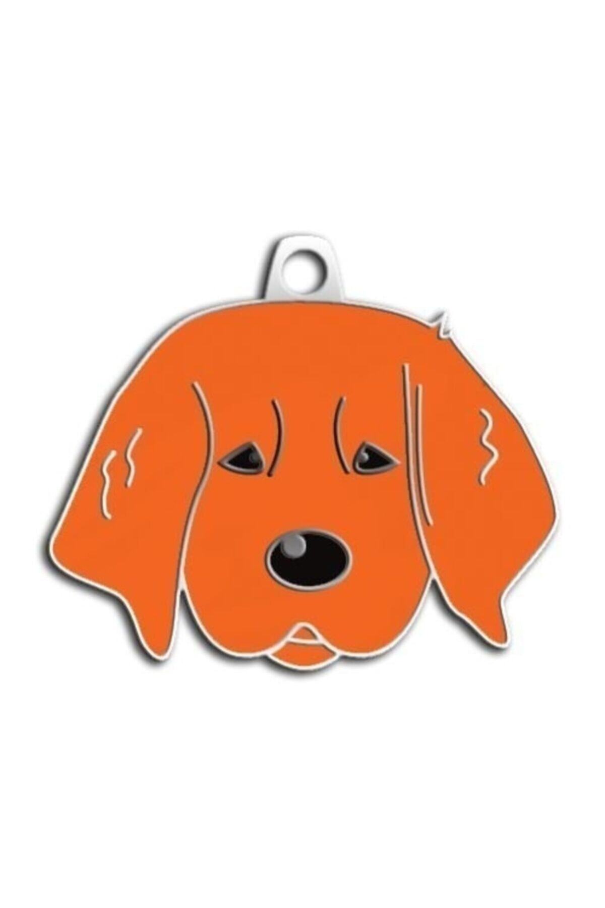 altın pati Yavru Golden Köpek Künyesi (kizil)