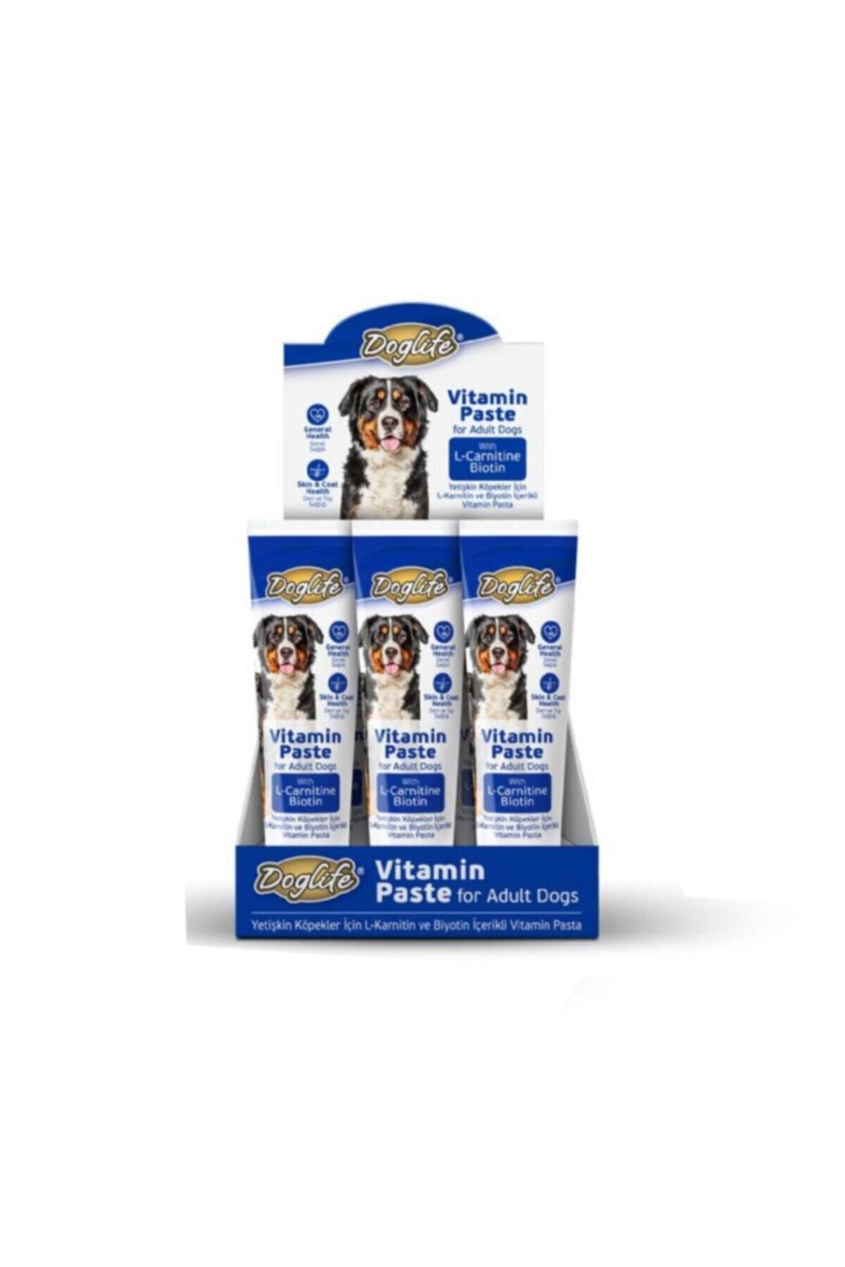 Doglife Yetişkin Köpekler Için Vitamin Paste 100ml Dlca10