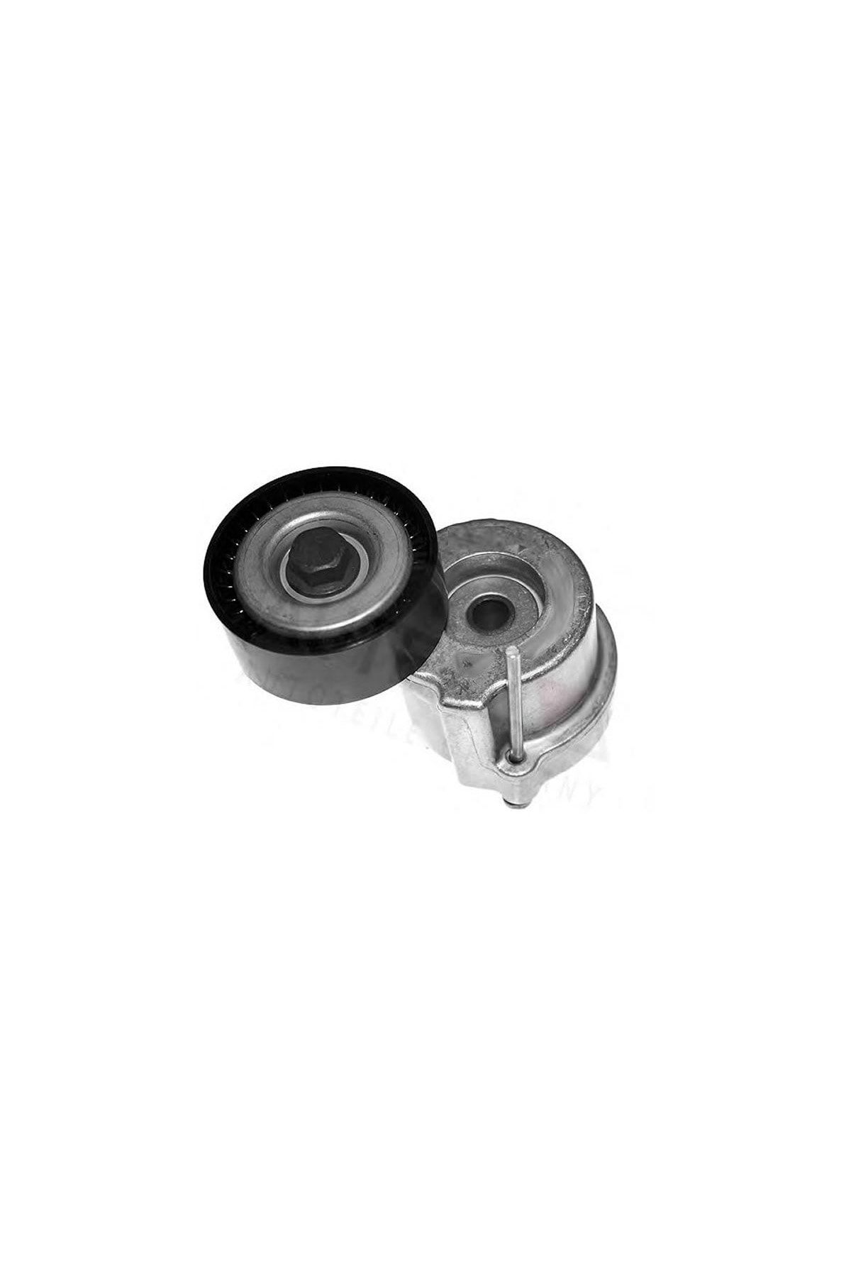 ORPA OTOMOTİV V Kayış Gergi Komple Vectra C Astra J Z19dth -gates-