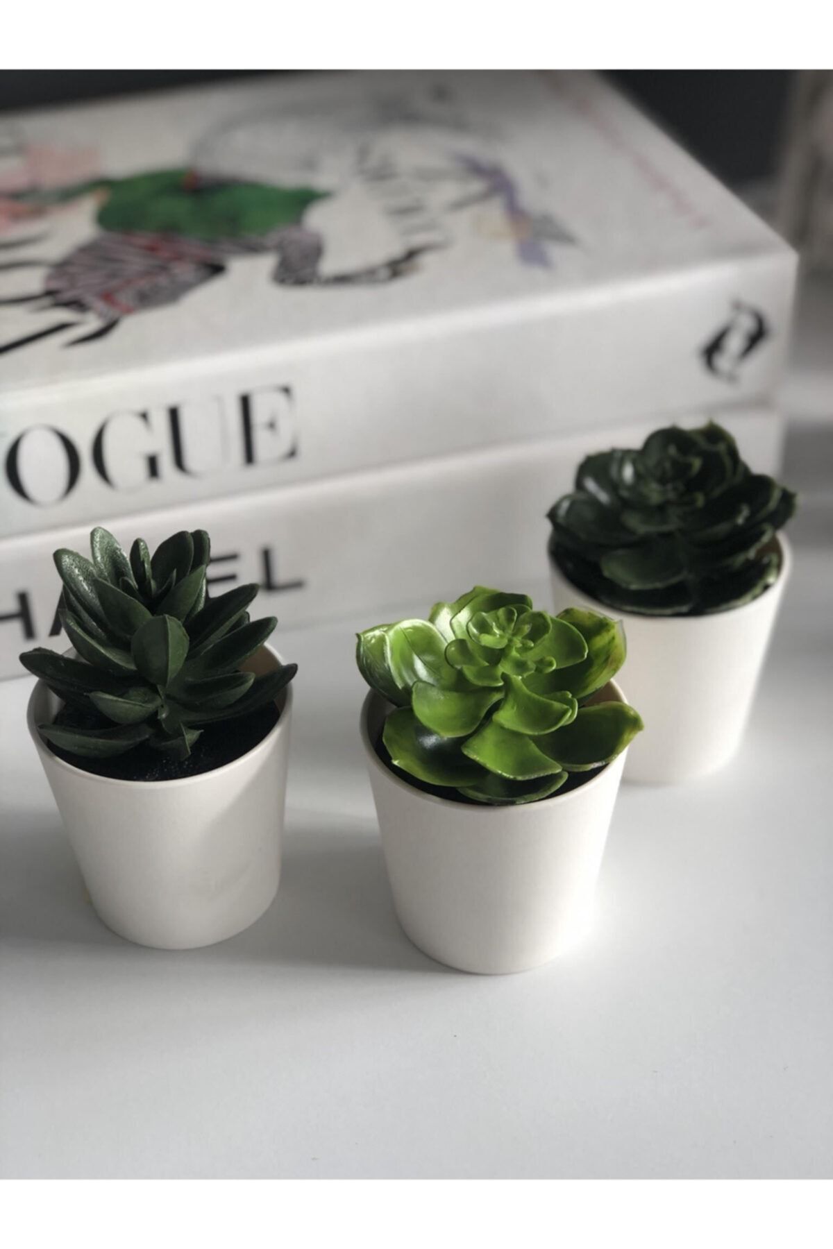 florbar 3lü Yapay Kaktüs Saksılı Yapay Bitki, Kaktüs Mini 5 Cm Ev Dekorasyon Iç-dışmekan