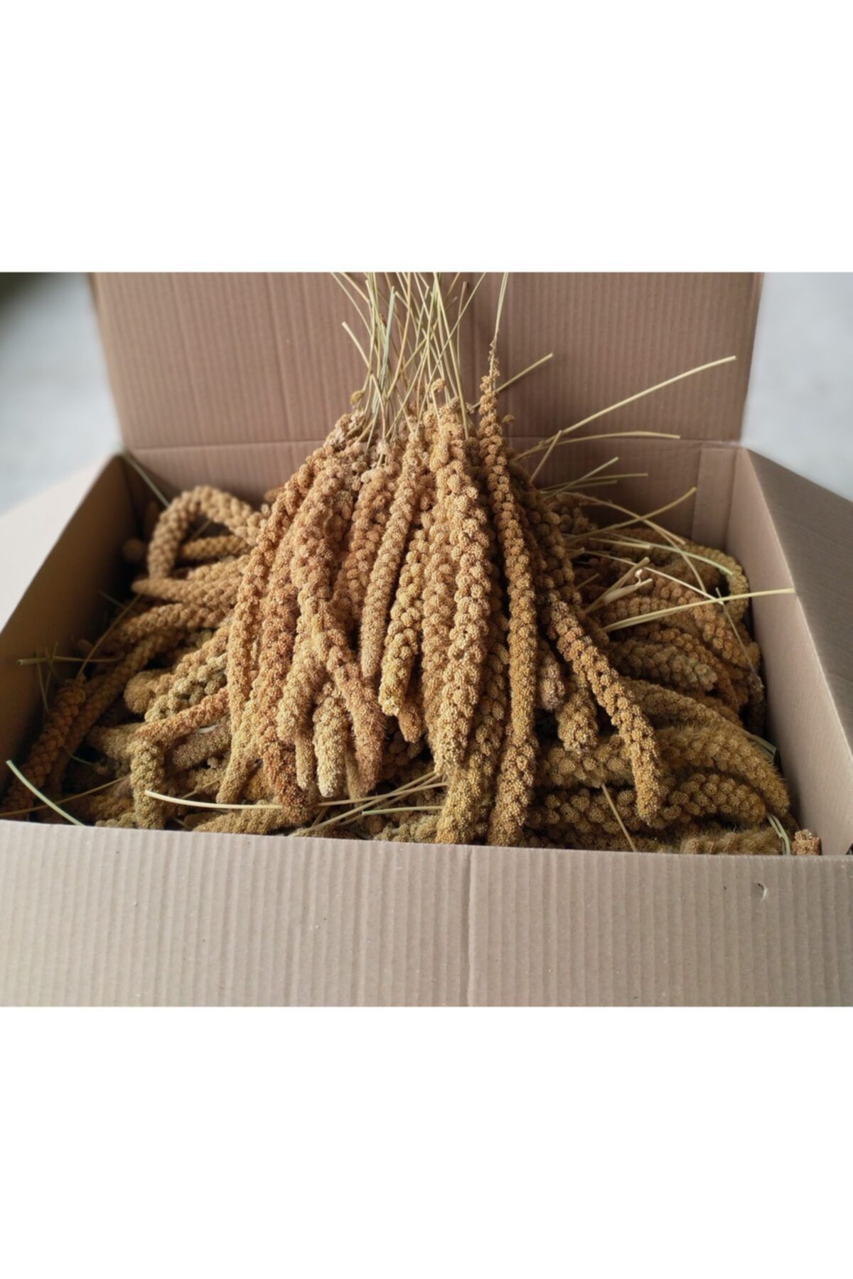 Kızıl Dal Darı Beyaz Dal Darı 1kg Yerli Üretim Beyaz Dal Darı