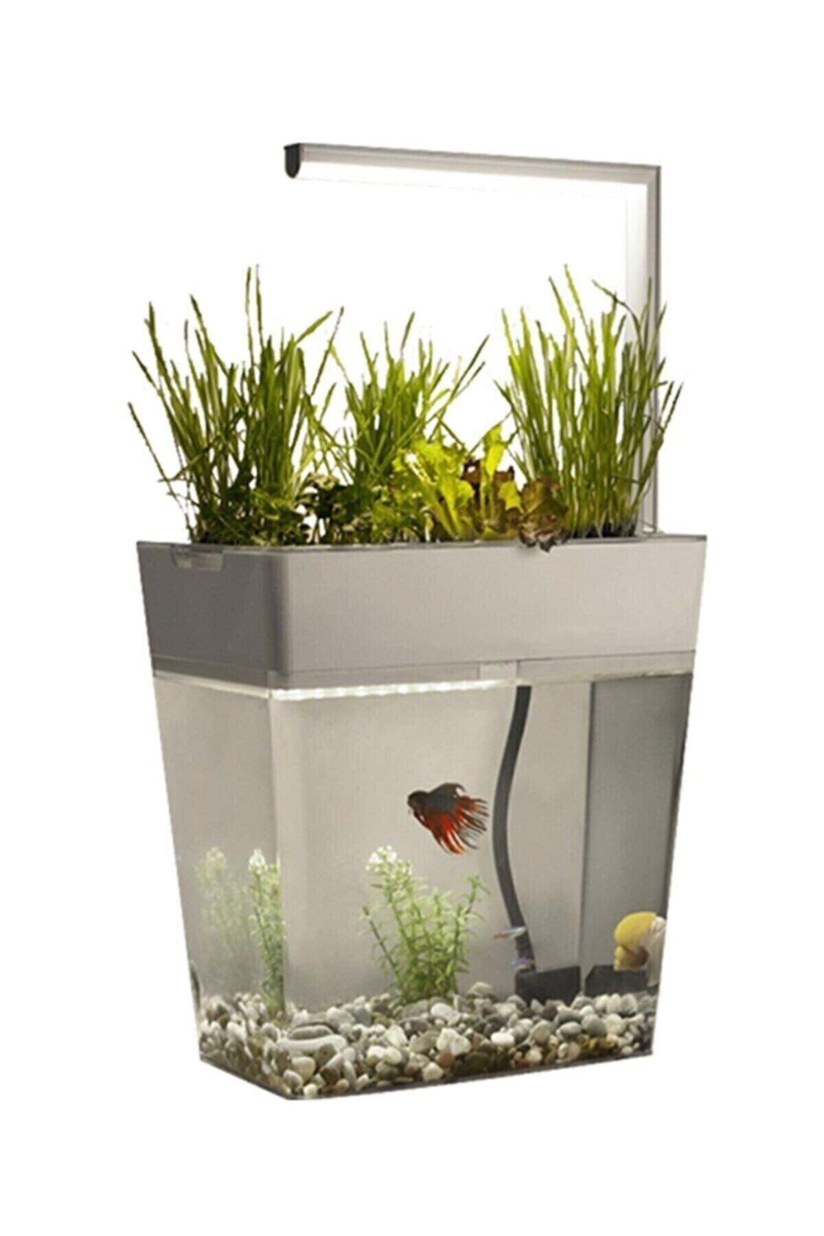 MİYUU Aqua Garden Kendi Kendini Temizleyebilen Ledli Akıllı Akvaryum 9 Litre
