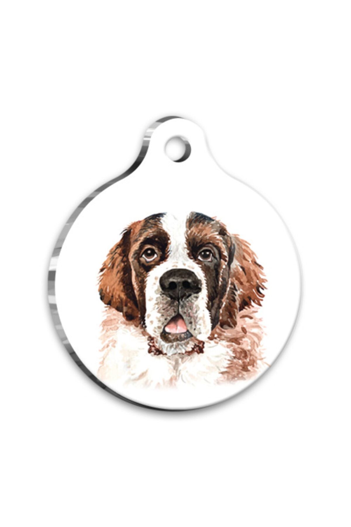 altın pati Suluboya Saint Bernard Yuvarlak Köpek Künyesi