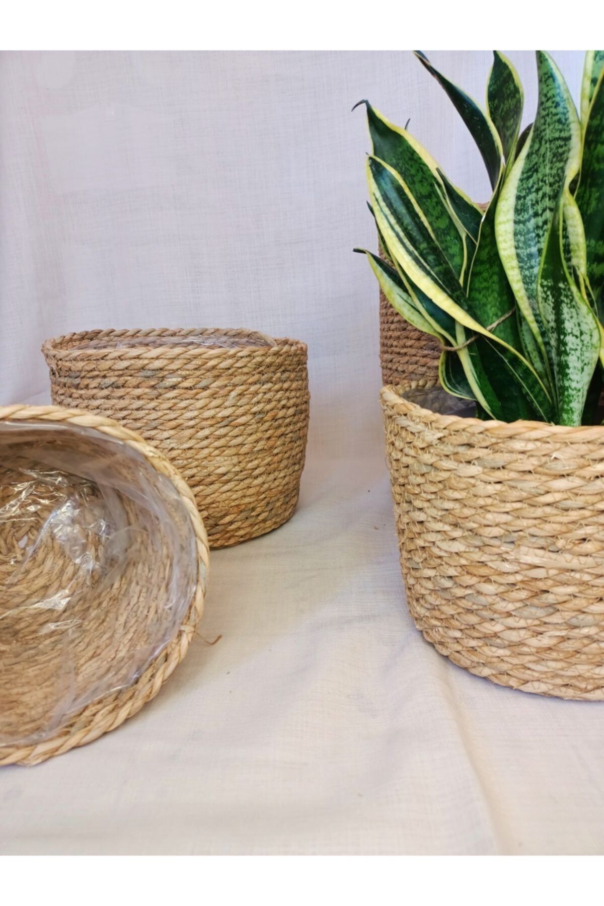 Zamia Concept Orta Boy İçi Korumalı Kulpsuz Hasır Saksı Sepet 23*23*18 cm