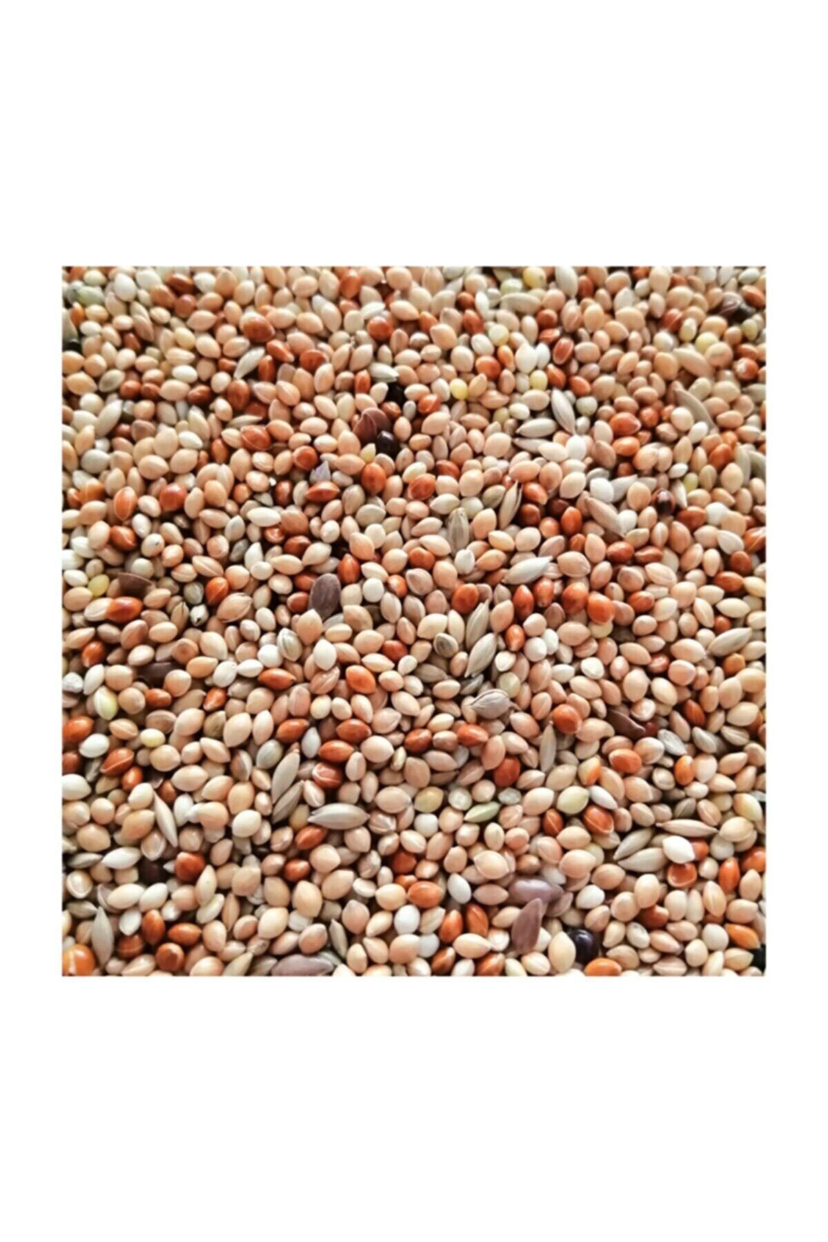 Eslem Tohumculuk Özel Tohumlu Muhabbet Kuşu Yemi 5 Kg
