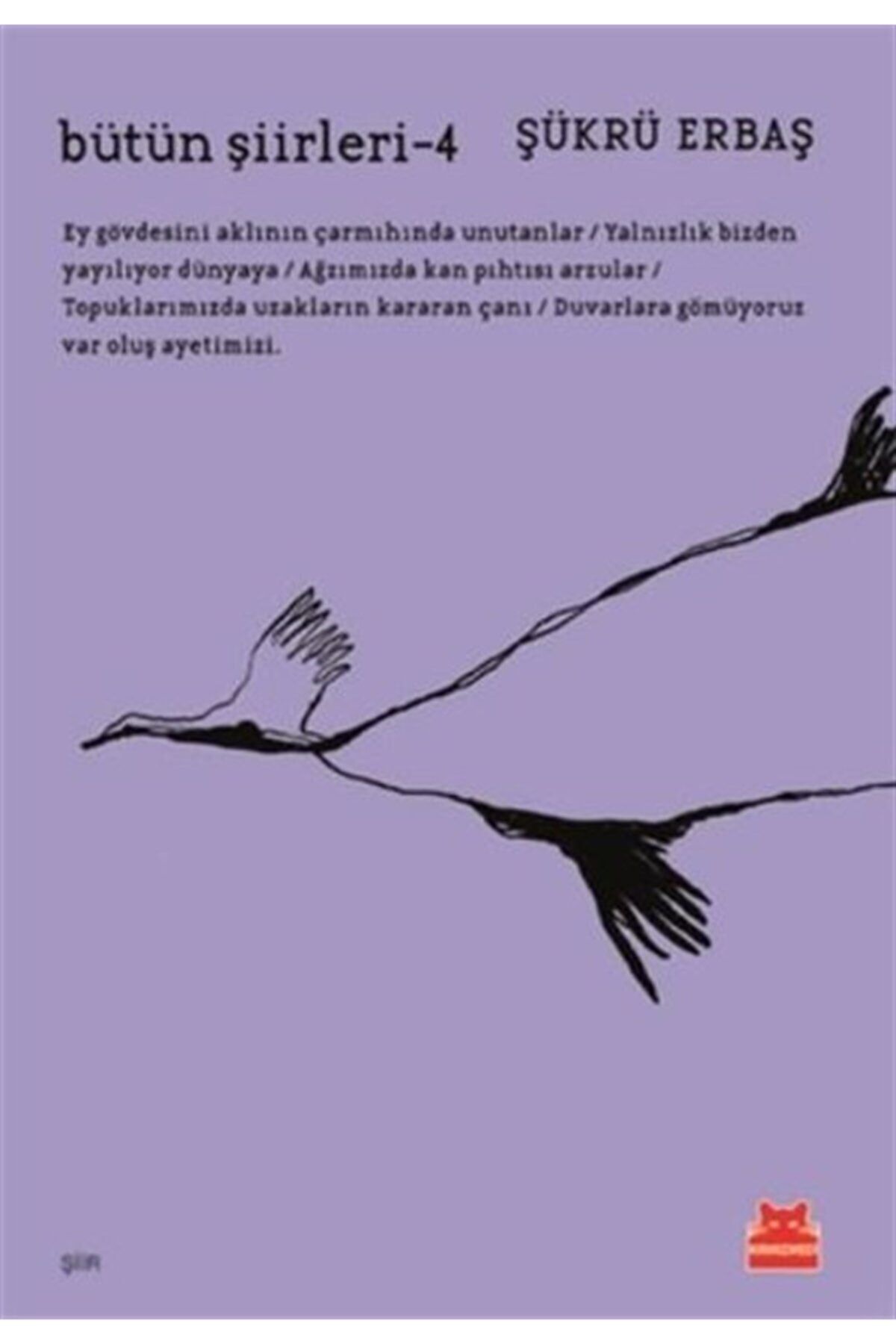 KOLEKTİF Bütün Şiirleri 4