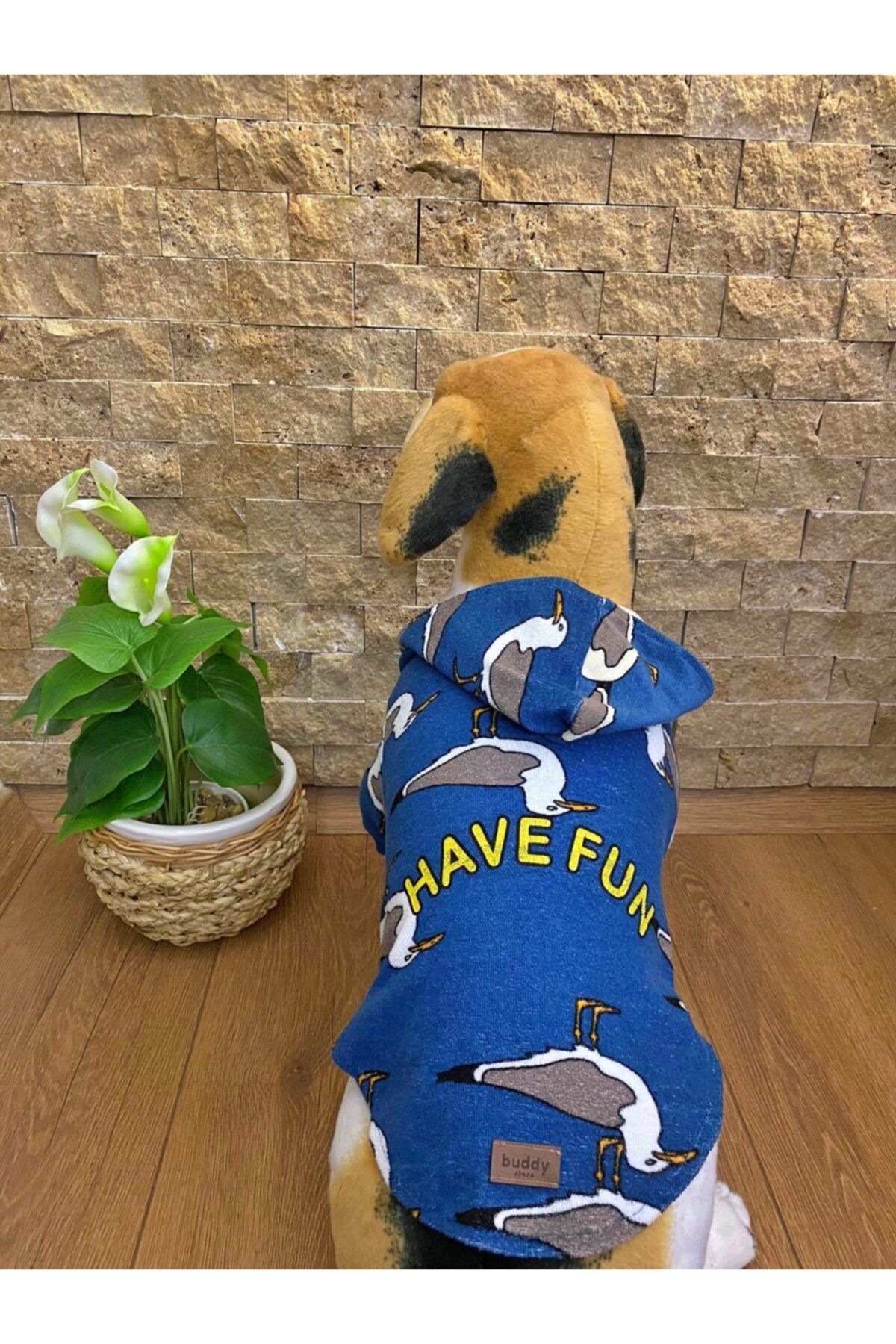 Buddy Store Köpek Kıyafeti & Elbisesi Kapüşonlu Sweat Model Have Fun