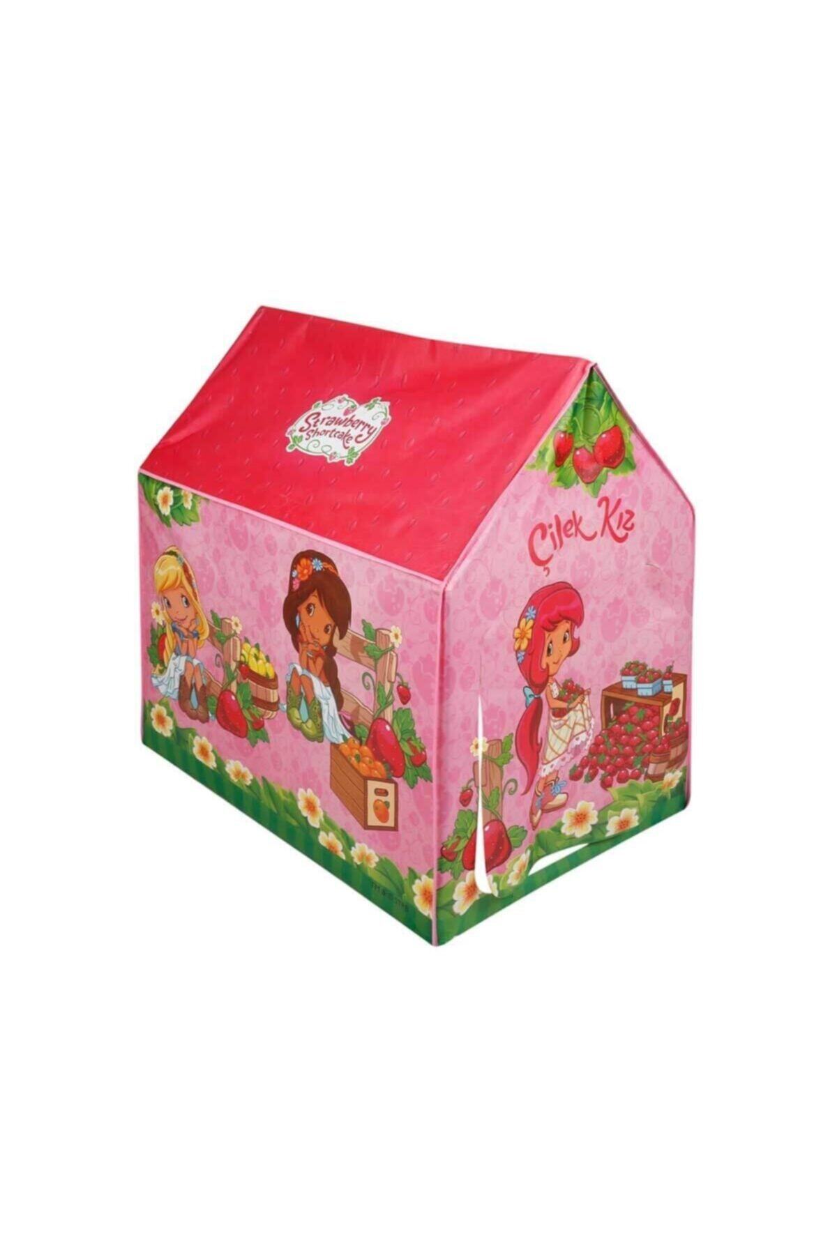 ASMEYAL 02507 Çilek Kız Oyun Çadırı 100x70x100 Cm