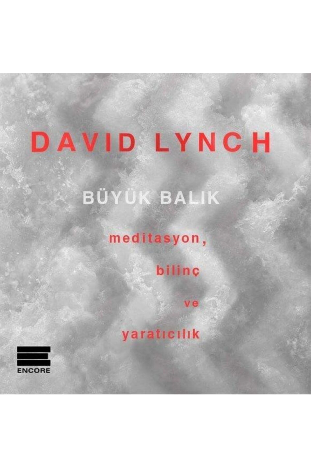 Encore Yayınları Büyük Balık / Encore