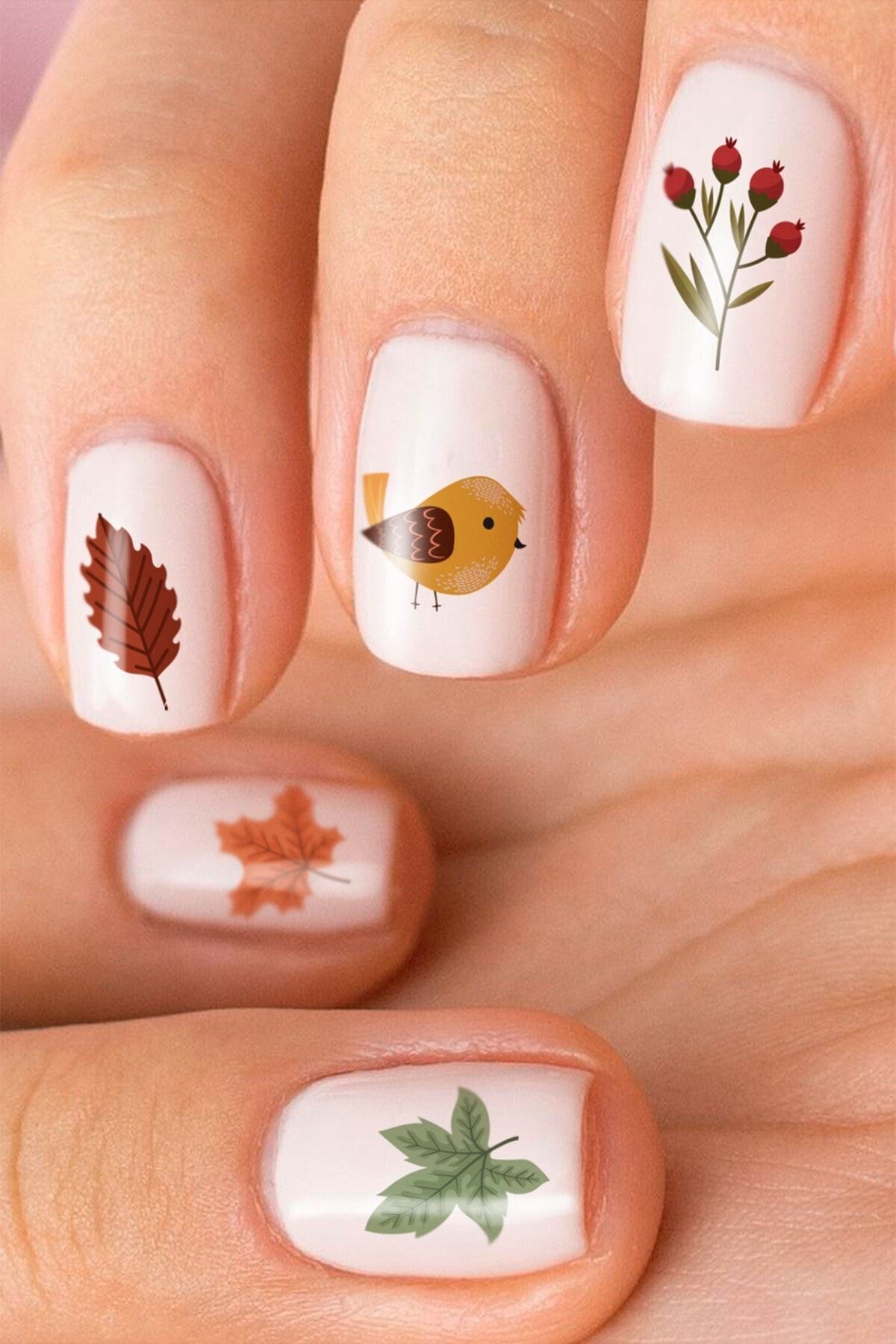 Artikel Kuşlar -1 Tırnak Dövmesi, Tırnak Tattoo, Nail Art, Tırnak Sticker