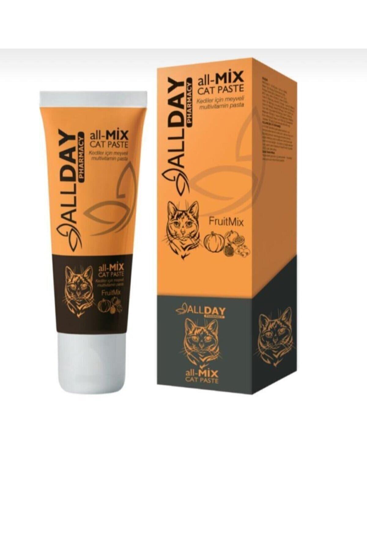 ALLDAY PHARMACY All-mix Cat Meyveli Kedi Pasta 100g