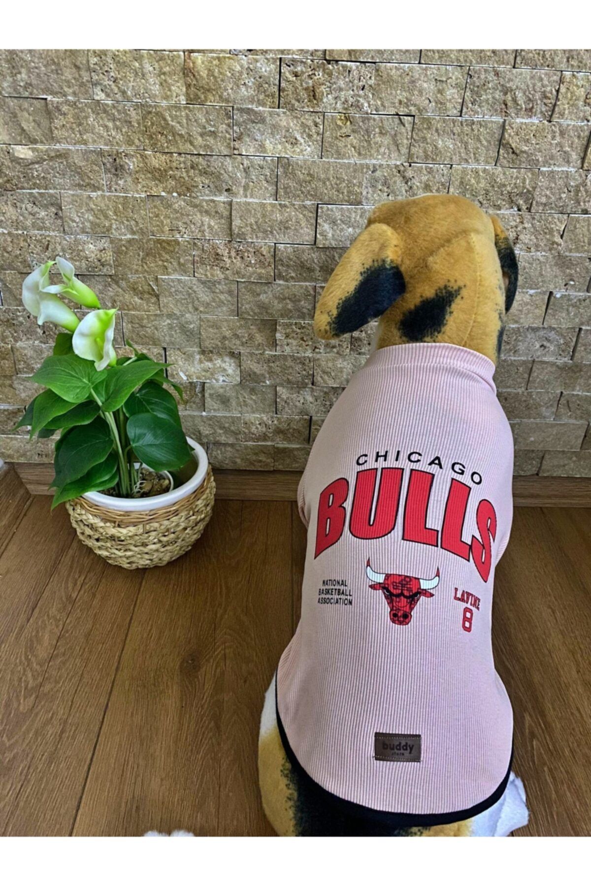Buddy Store Kedi Köpek Kıyafeti & Elbisesi Uzun Kollu Model Pembe Bulls (kaşkorse)