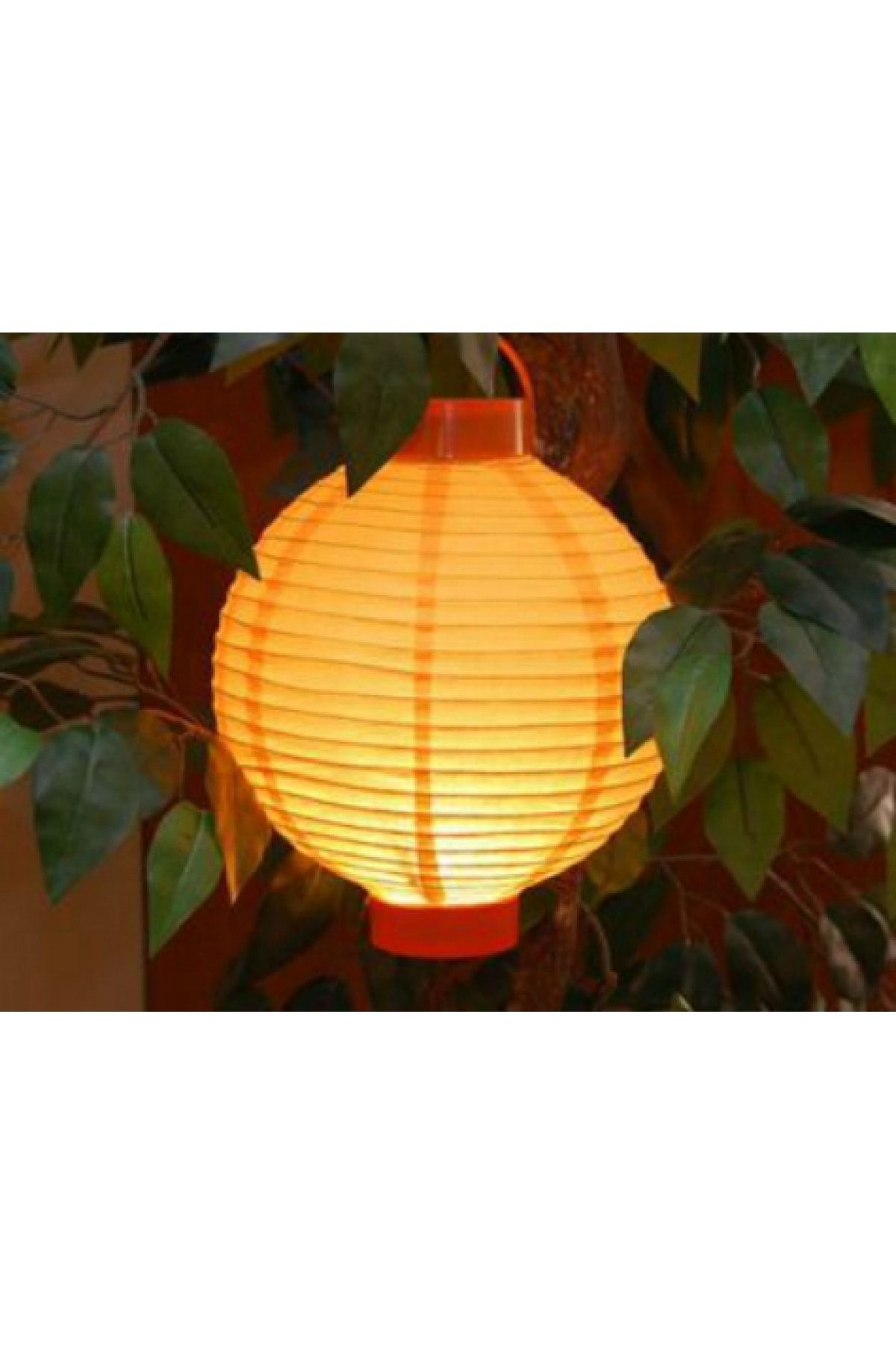 NO.8 HOUSE Ledli Japon Feneri