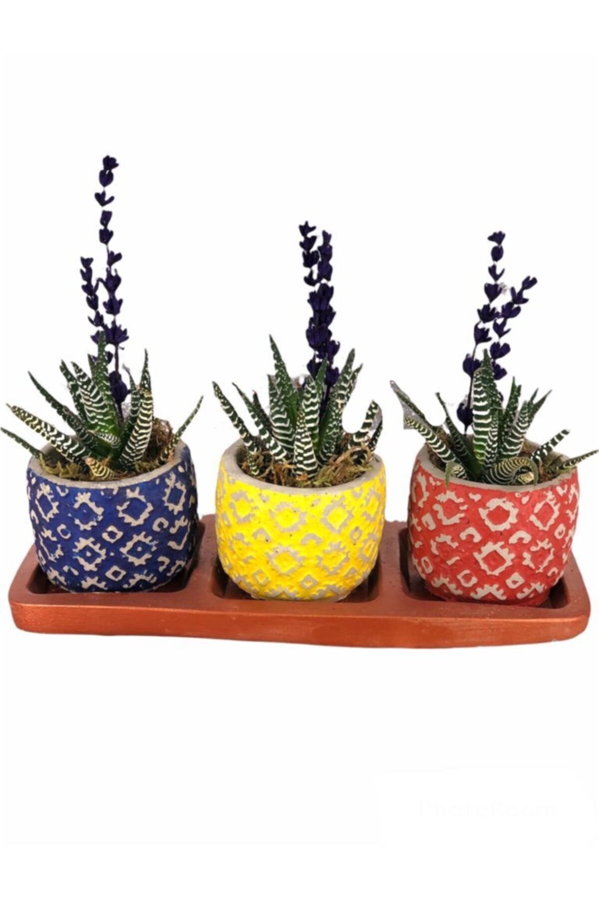 FebaDesign Etnik Serisi Beton Saksı Set 2