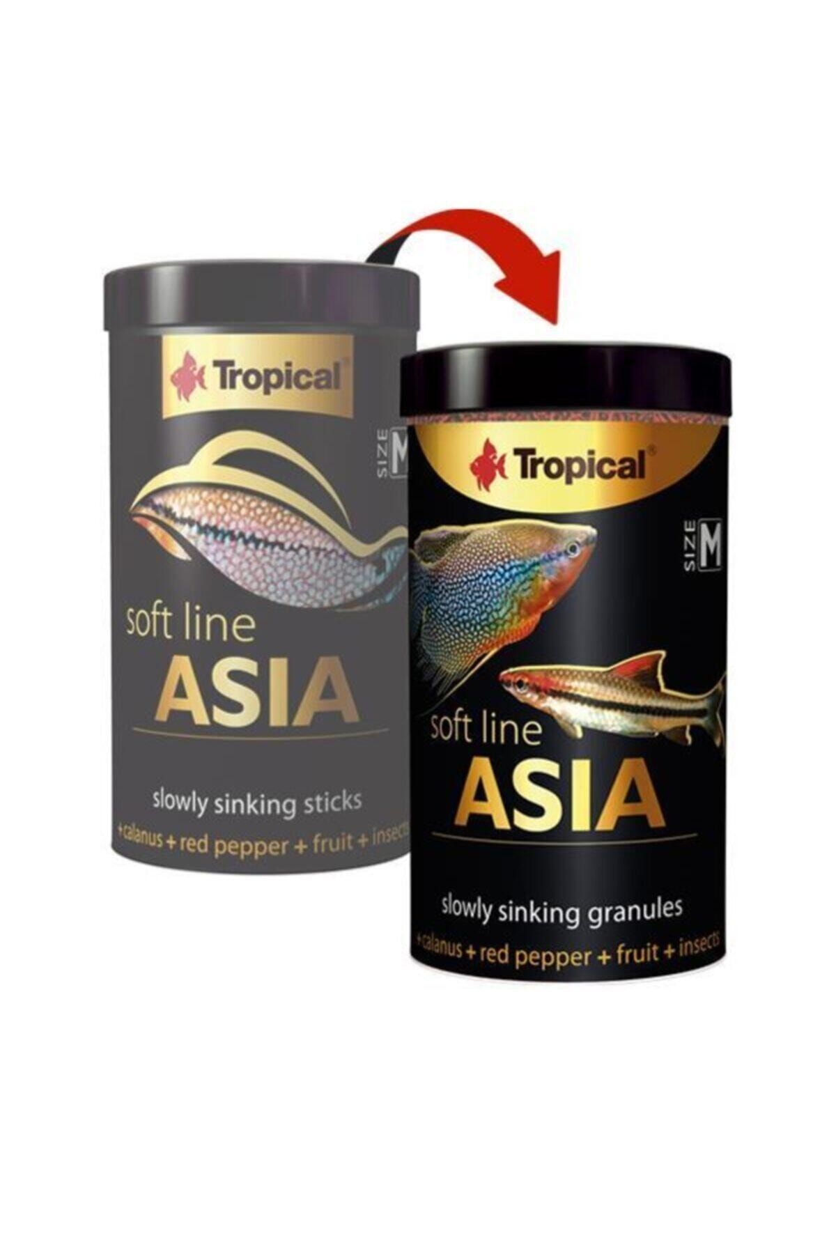 Tropical Soft Line Asia Size M 100ml 50gr