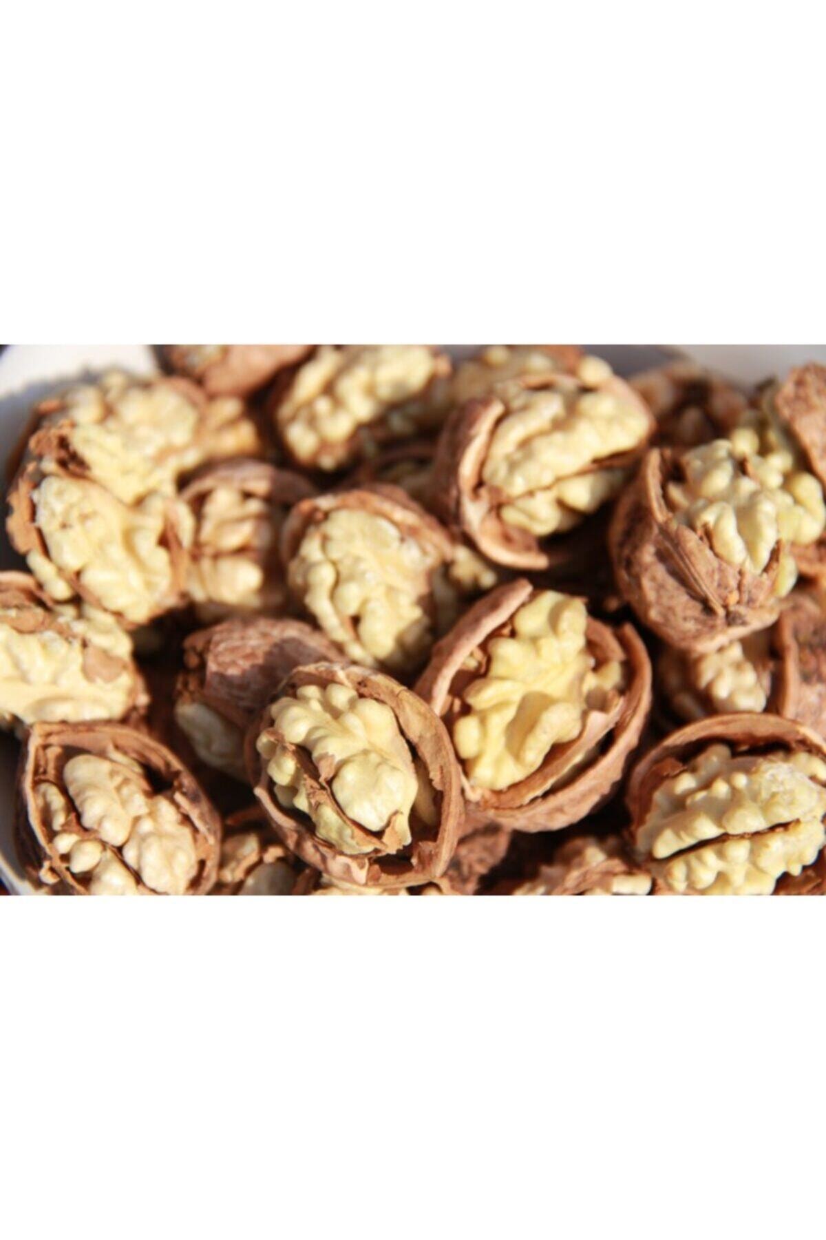 OĞUZLAR CEVİZCİLİK Oğuzlar Cevizi Kabuklu Ceviz 5 Kg