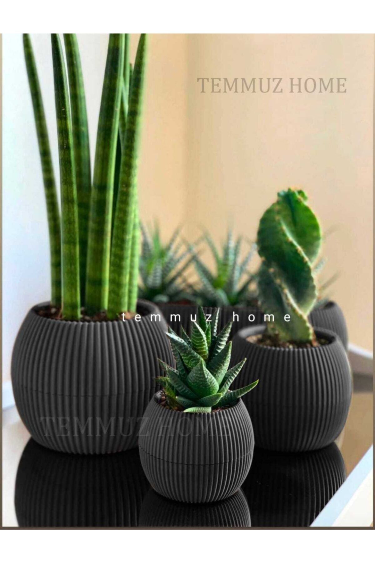 TEMMUZ HOME 3 Lü Set Kaktüs Ve Çiçekler Için Dekoratif Ve Şık Karasu Mercan Saksı Seti