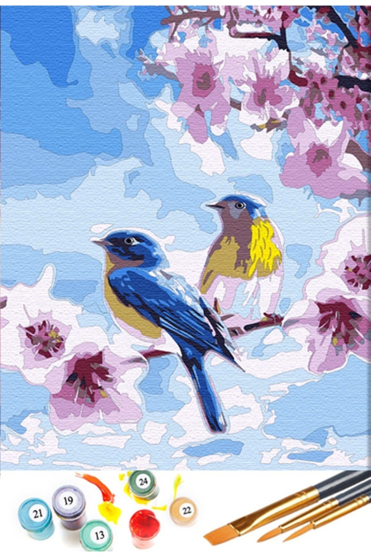 Tabdiko Sayılarla Boyama Seti 40 x 50 cm Tuval Şasesine Gerili Bahar Dalında Kuşlar