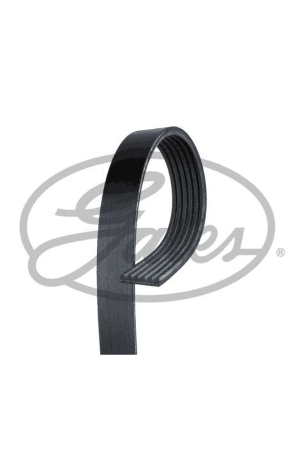 GATES Volvo C30 S40 V50 S60 V60 S80 V40 V70 V Kayışı D2 Motor