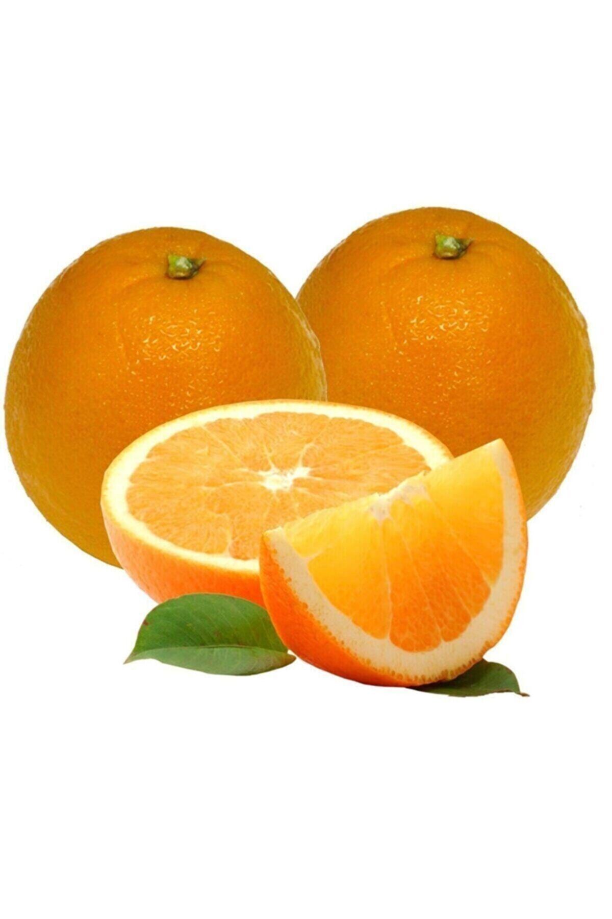 Biokent Organik Organik Sertifikalı Portakal 1 kg