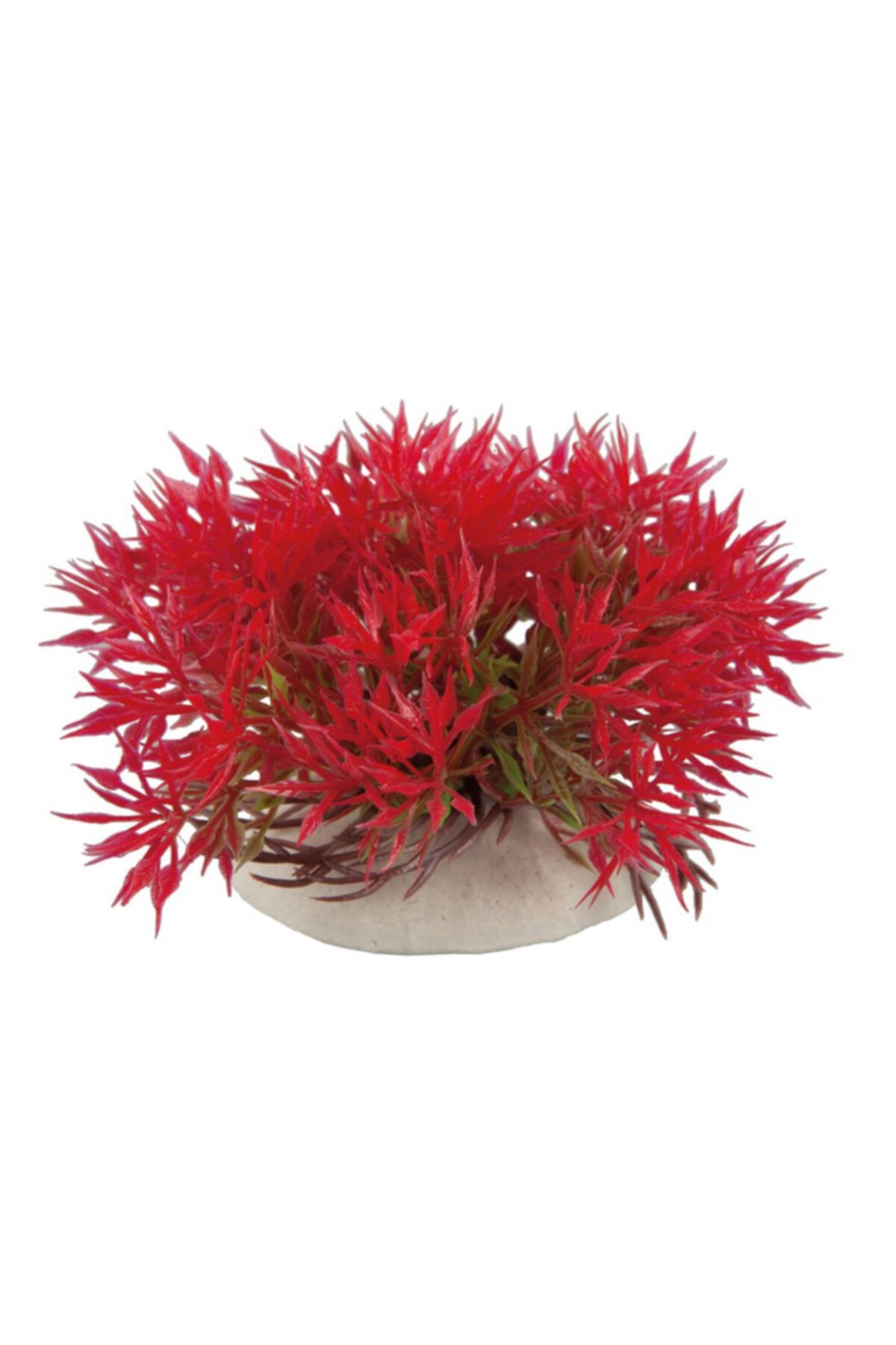 Oripet B28071 Akvaryum Plastik Bitki Kırmızı 5-6 Cm