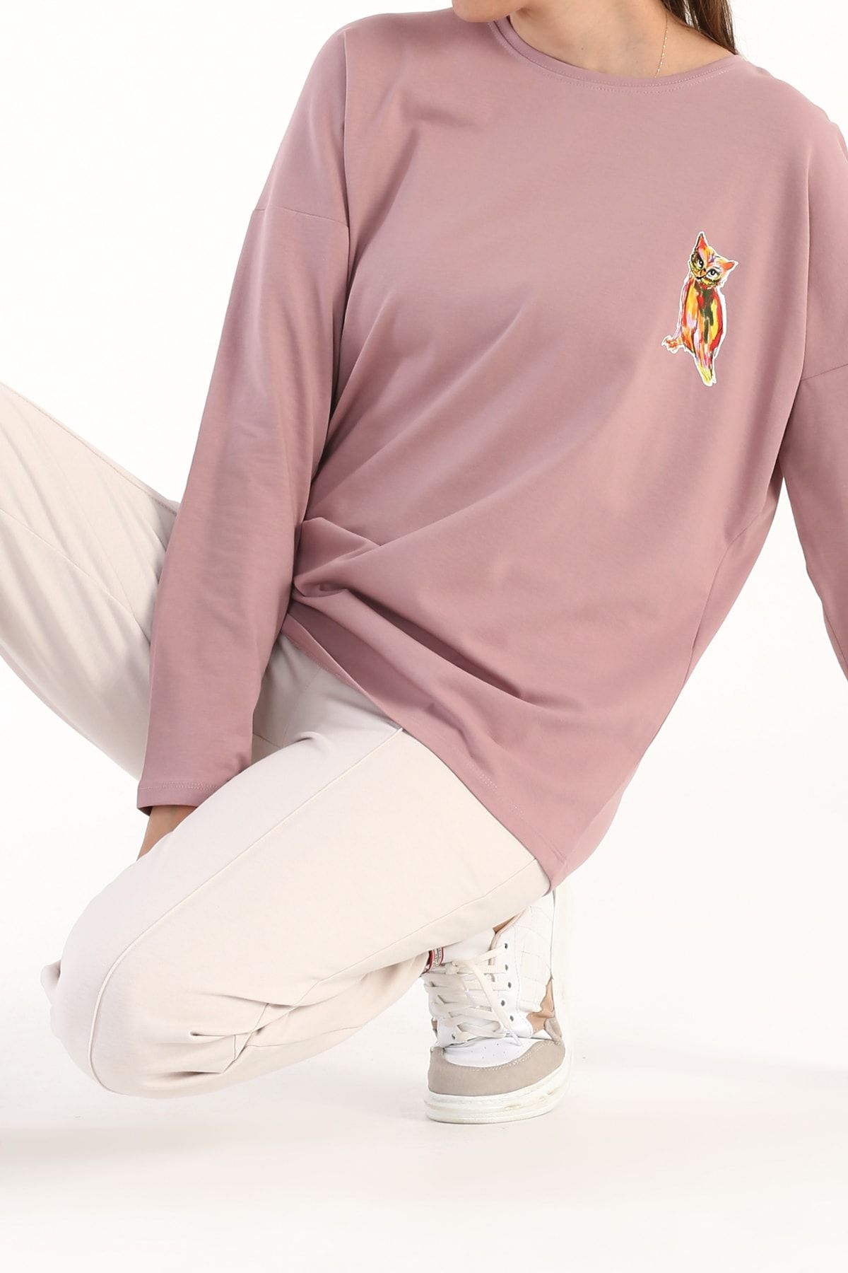ALLDAY Gül Kurusu Baykuş Baskılı Uzun Kollu T-shirt