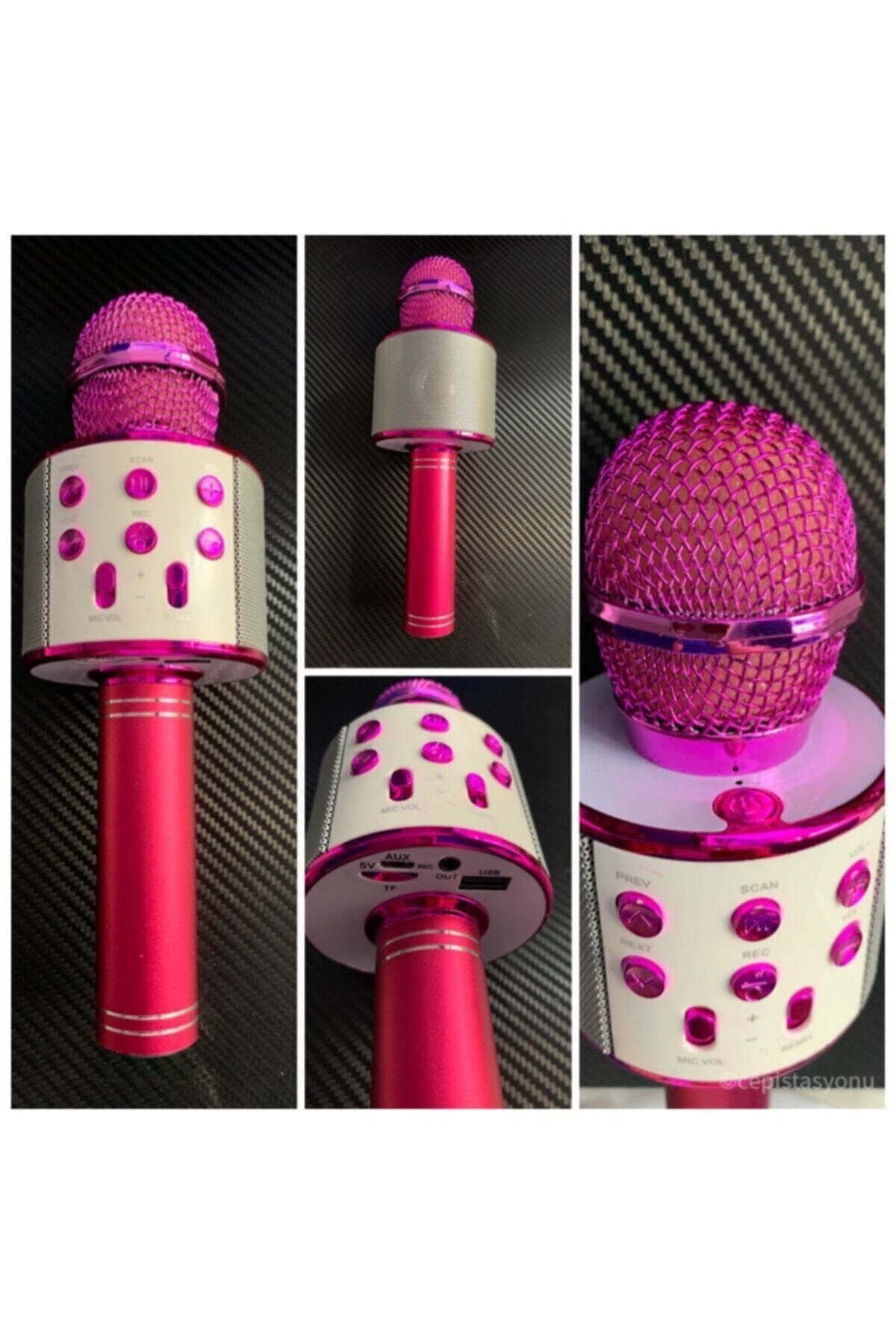 Wster Pembe Karaoke Dahili Hoparlörlü Usb Flash Destekli Ws-858 Mikrofon