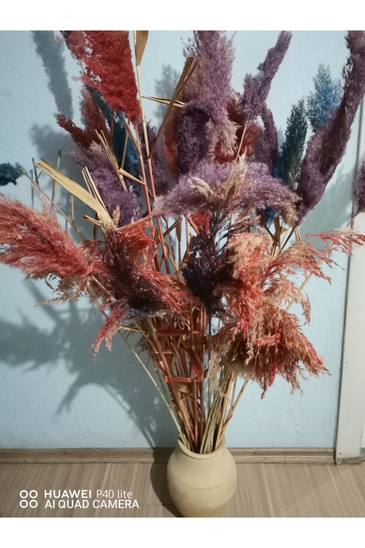 KÜTÜK RESMİ Renkli Pampas