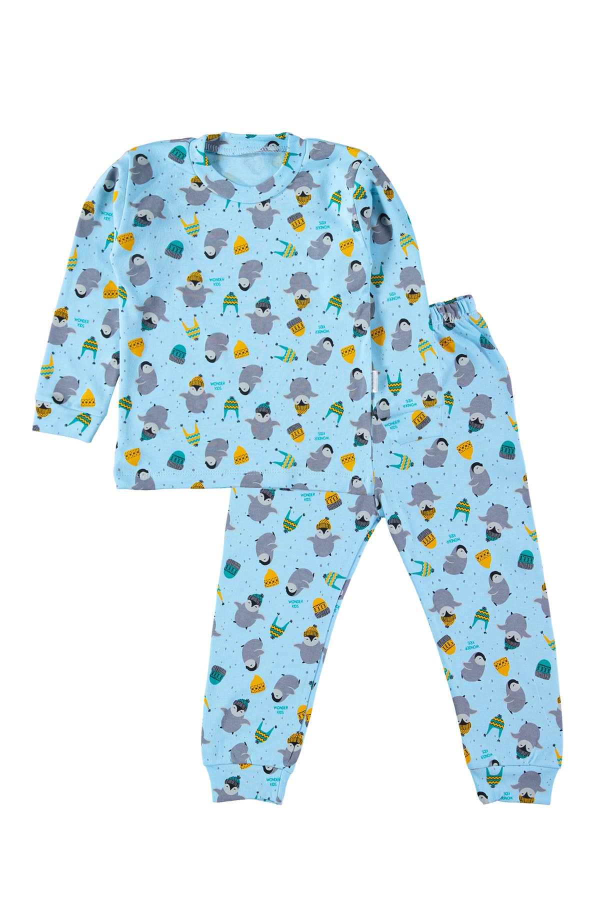 hepbaby Penguen Baskılı Mavi Bebek-çocuk Pijama