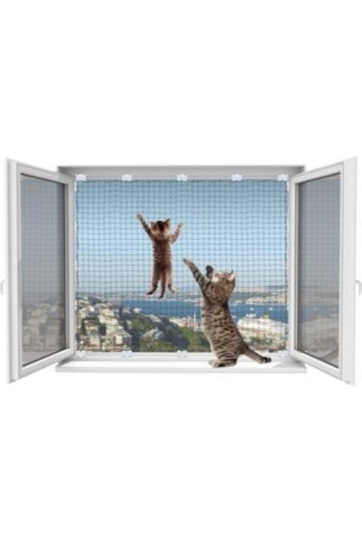 WINBLOCK Pets-kedi Güvenlik Ağ Koruma Sistemi- 2'li Tek Kanat Pencere Için Ekonomik Kutu-beyaz Çerçeve Için